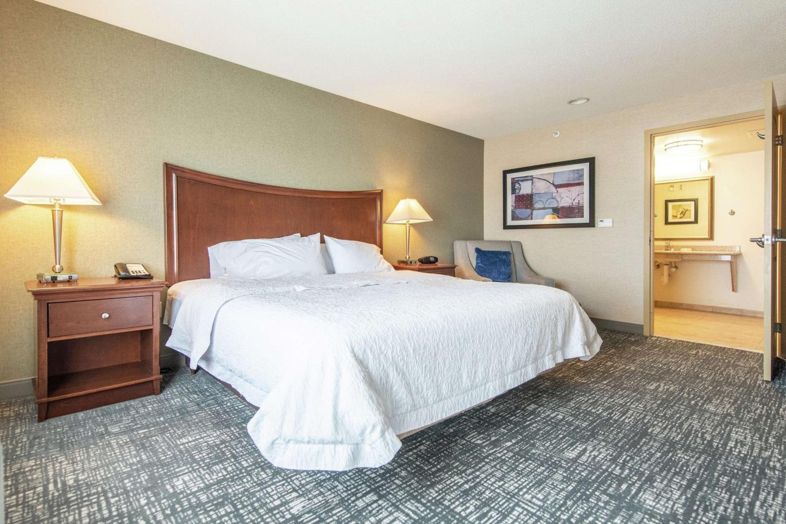 King Suite - Mobility and Hearing Access/Non-Smoking - Photo 8
