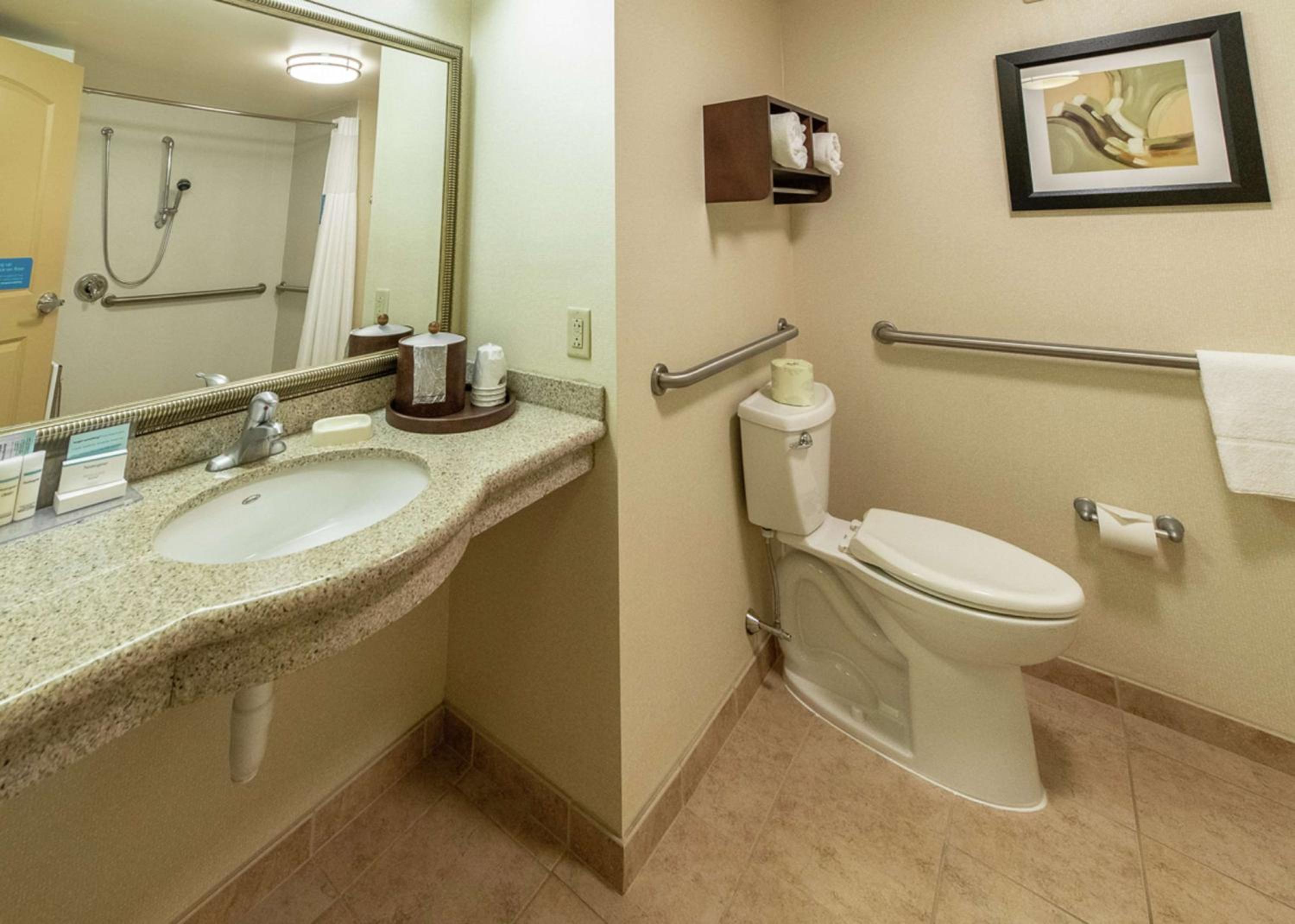 King Room with Roll-In Shower - Mobility Access/Non-Smoking - Photo 3