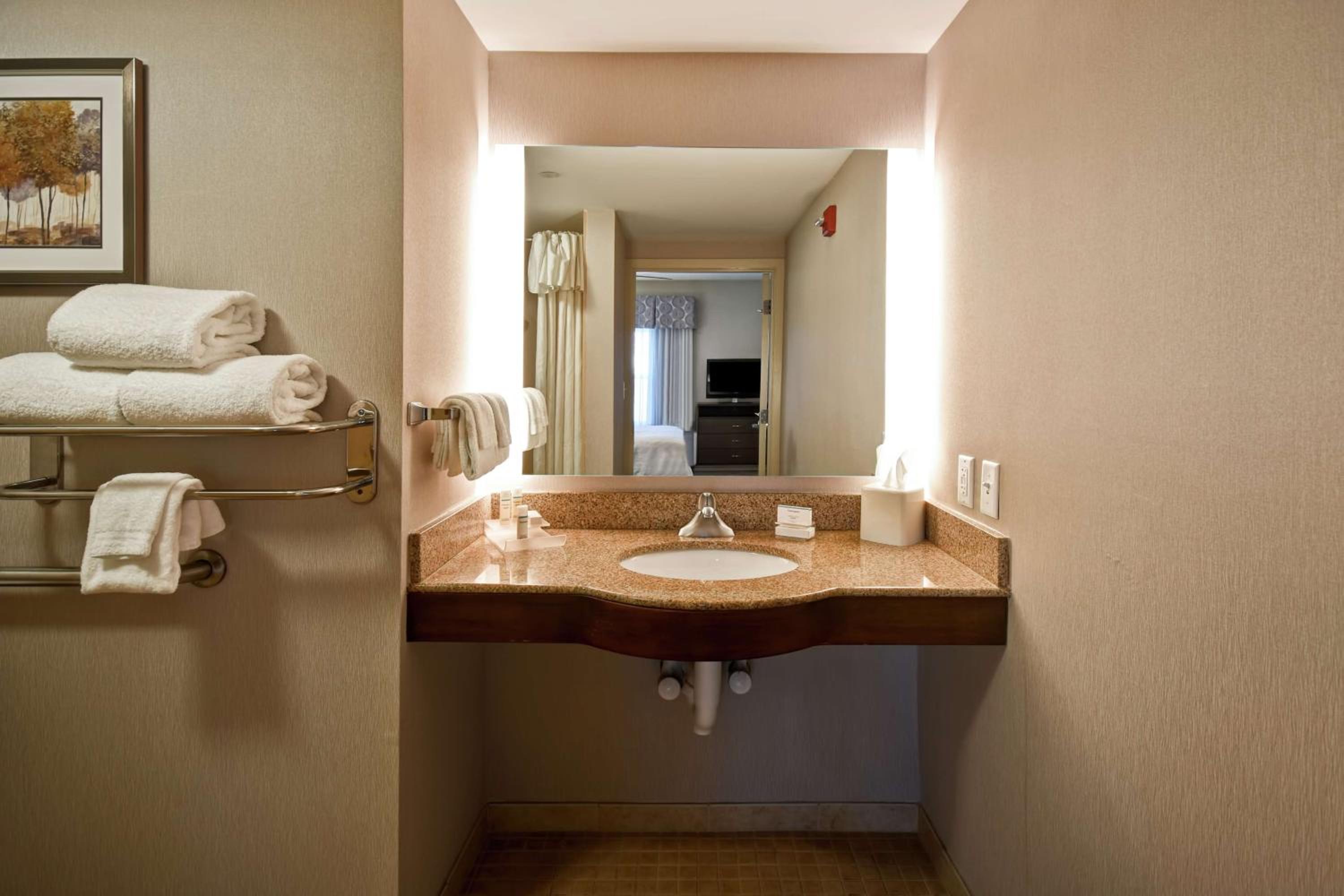 King Studio with Roll-In Shower - Mobility and Hearing Access/Non-Smoking - Photo 4