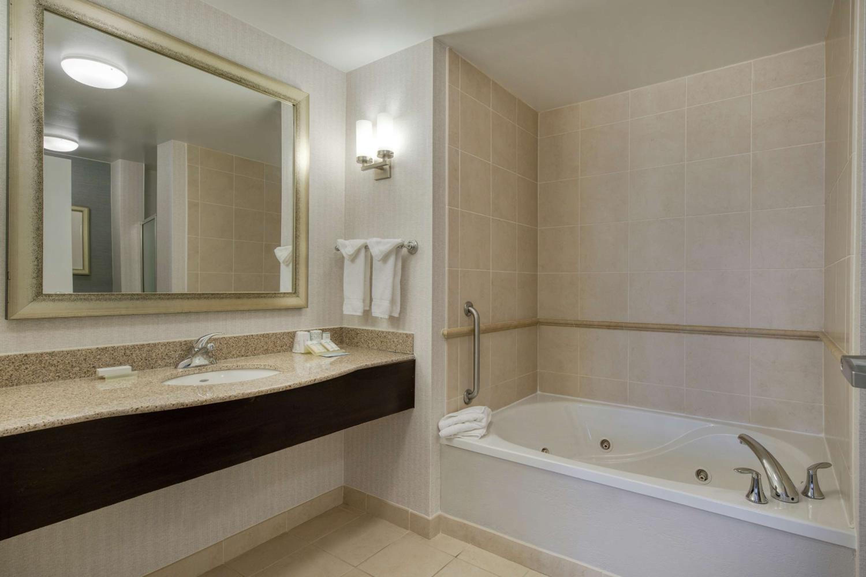 One-Bedroom King Suite - Photo 3