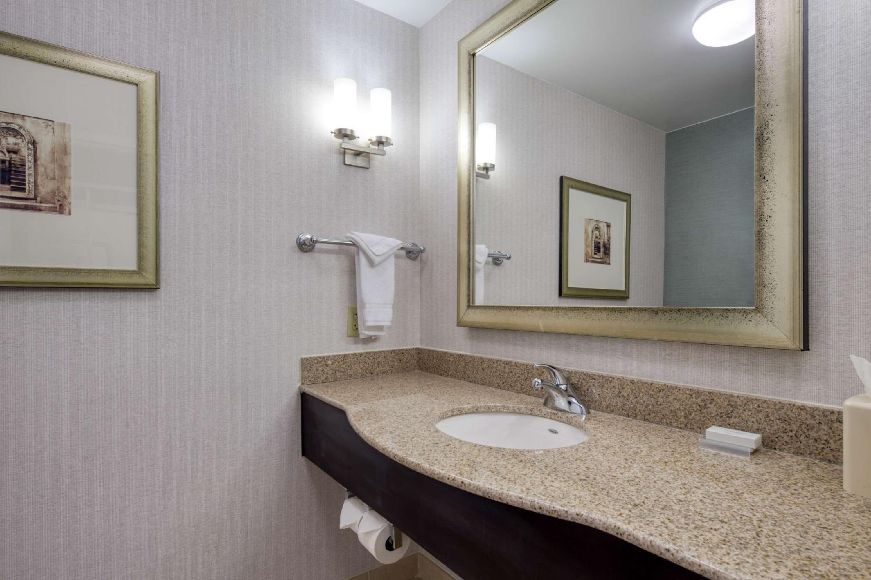 One-Bedroom King Suite - Photo 5
