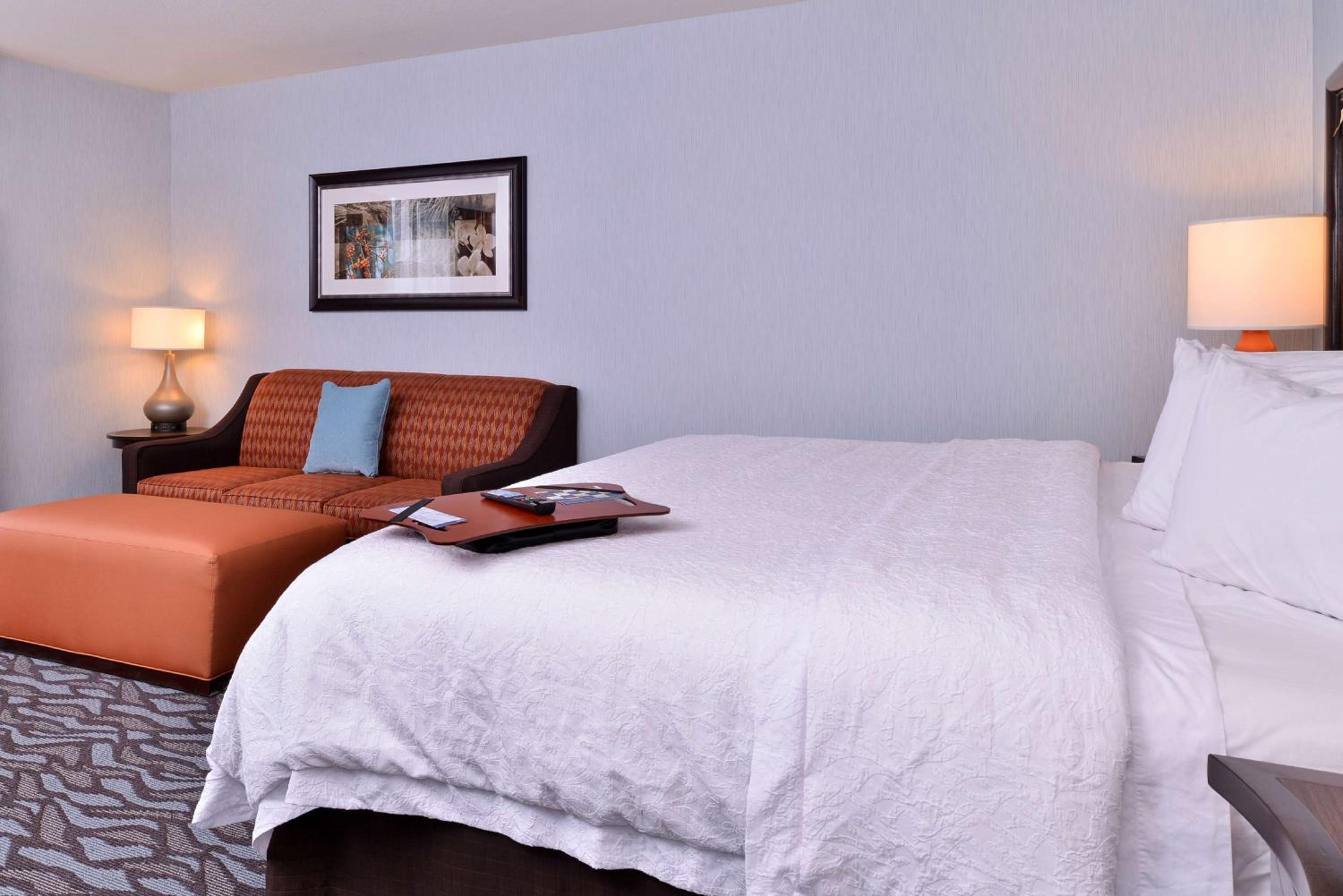 King Room with Sofa Bed - Hearing Accessible/Non-Smoking - Photo 1