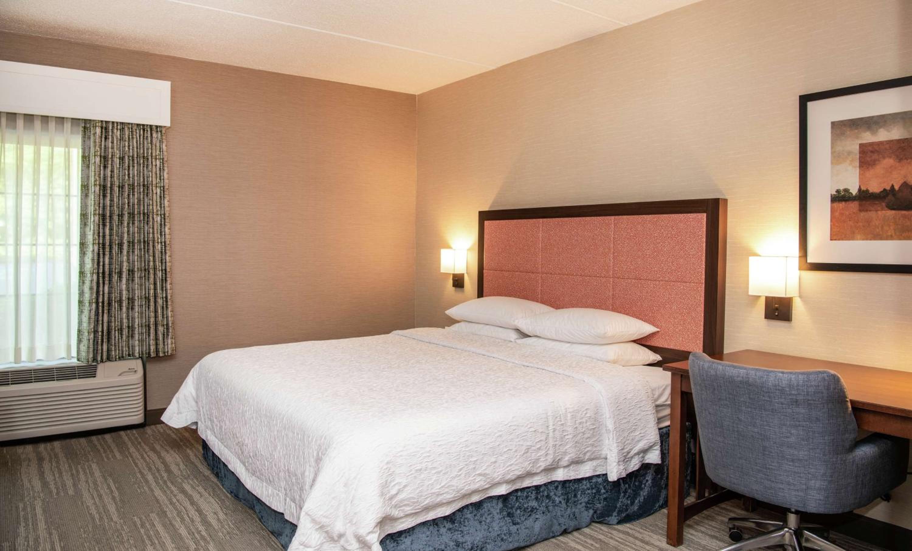 King Room with Roll-In Shower - Mobility Access/Non-Smoking - Photo 3