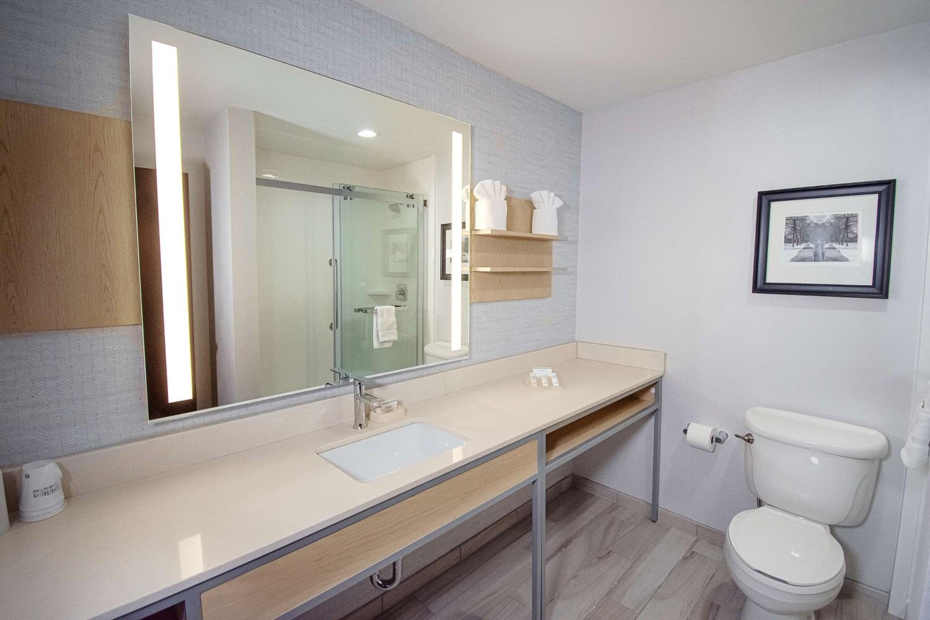 Deluxe King Studio Suite - Non-Smoking - Photo 4