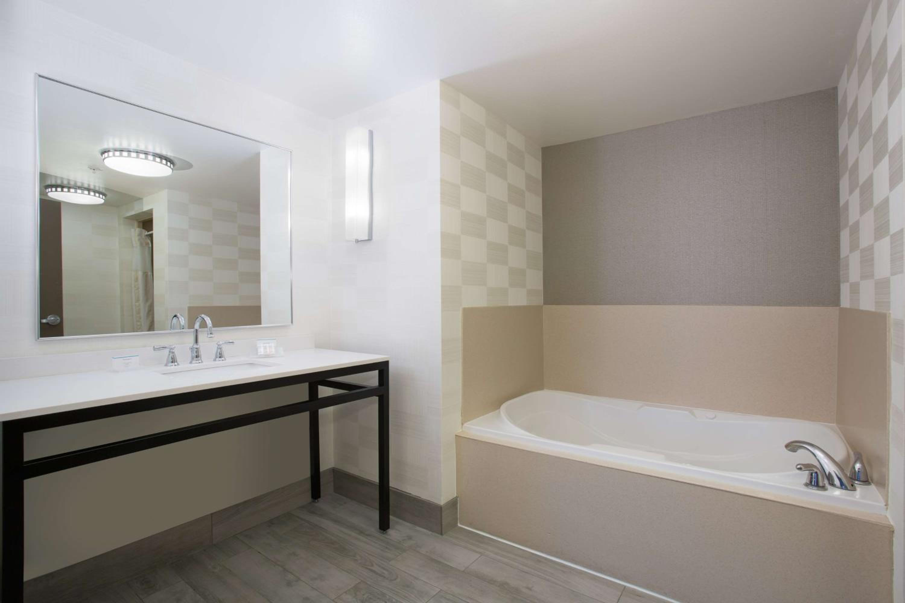 One-Bedroom Suite - Photo 3