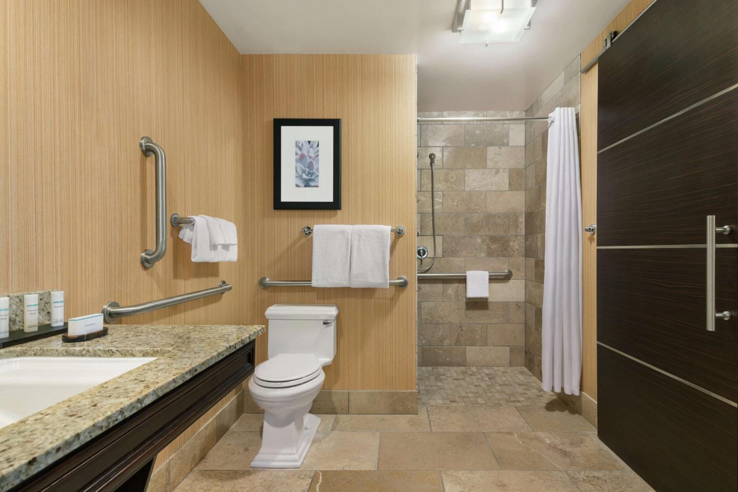 King Room with Roll-In Shower - Mobility/Hearing Accessible photo 2