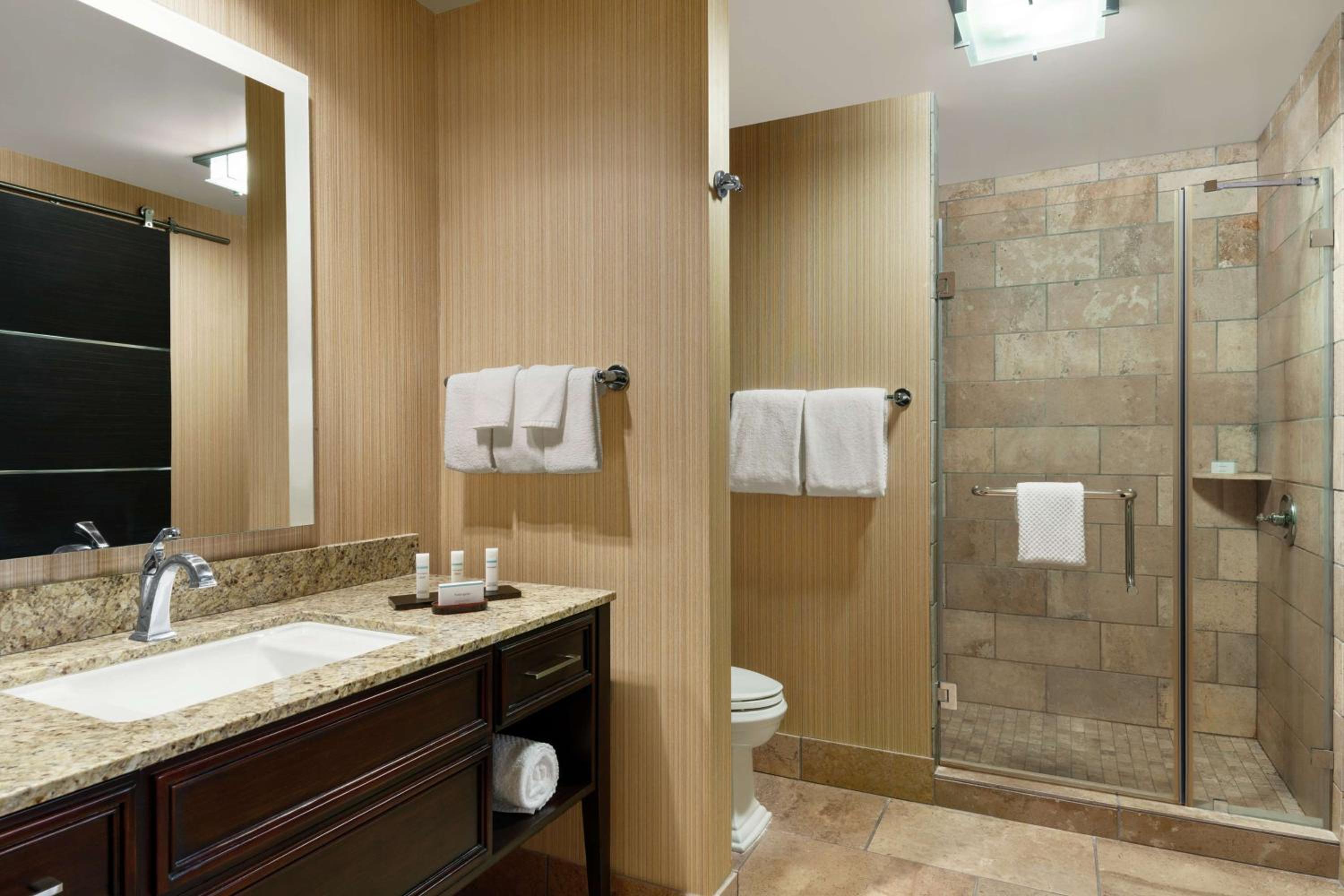 King Suite - Non-Smoking photo 2