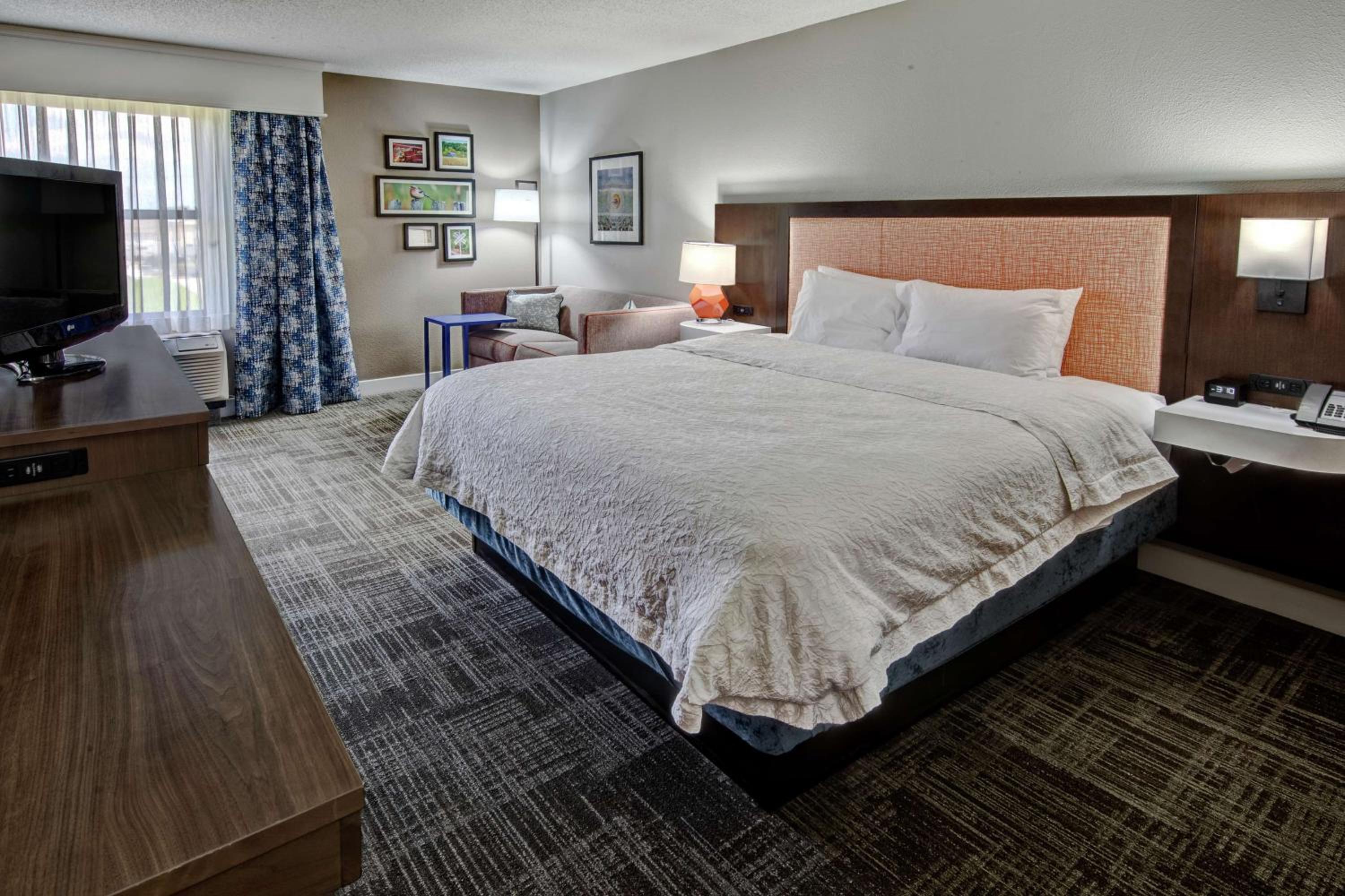 King Suite - Non-Smoking - Photo 3