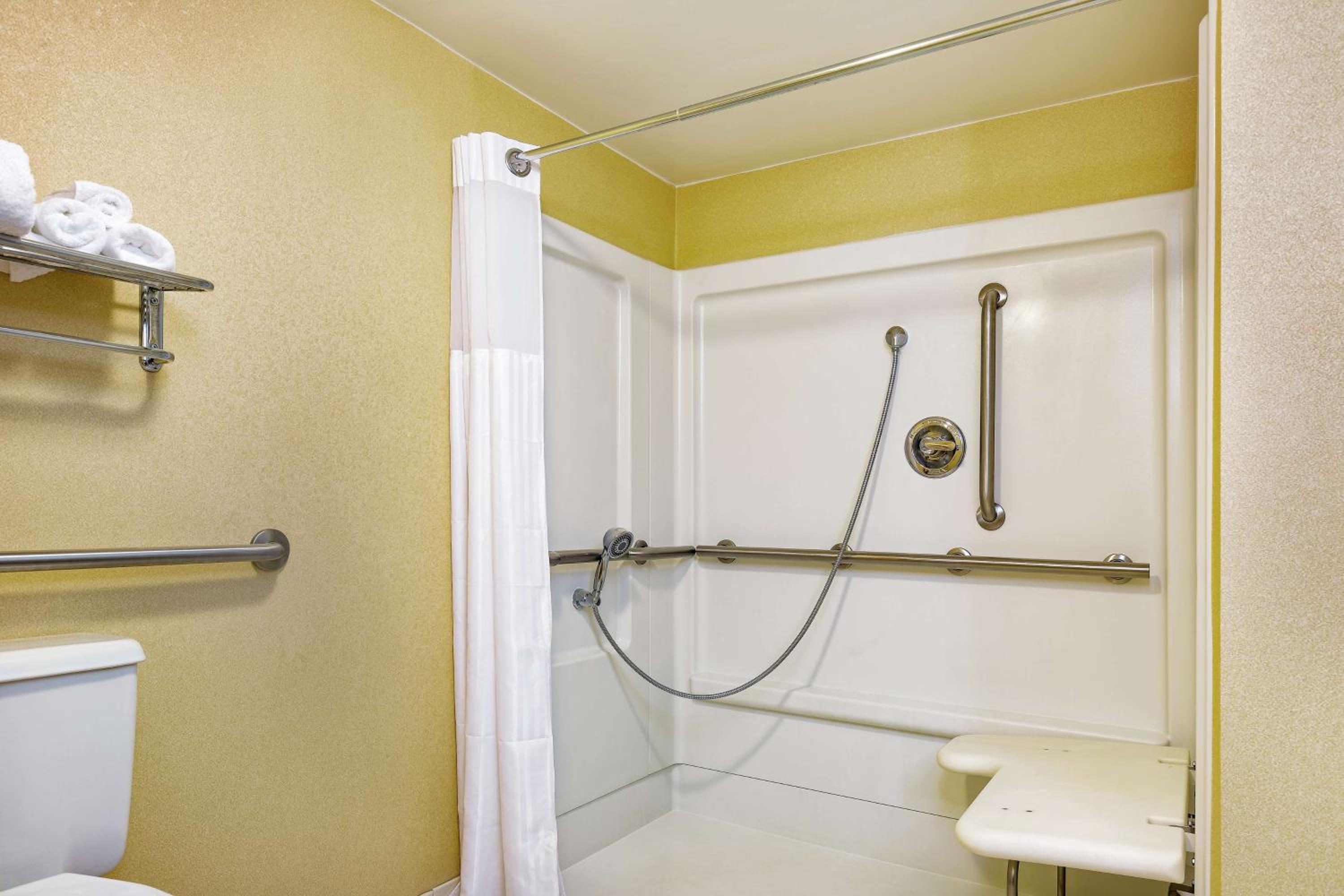 Queen Room with Roll-In Shower - Disability Access/Non-Smoking - Photo 3