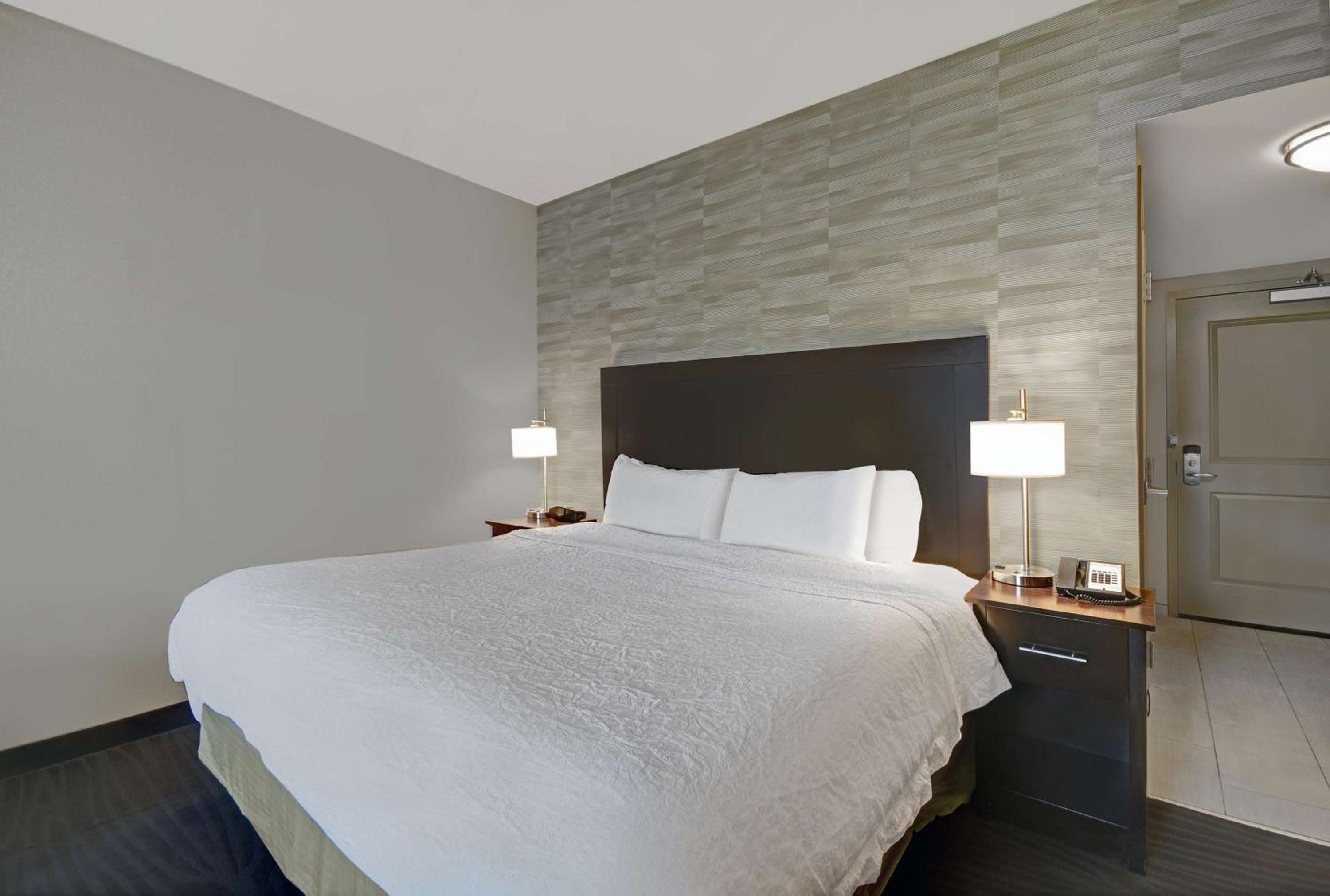 King Room with Roll-In Shower - Mobility/Hearing Accessible photo 1