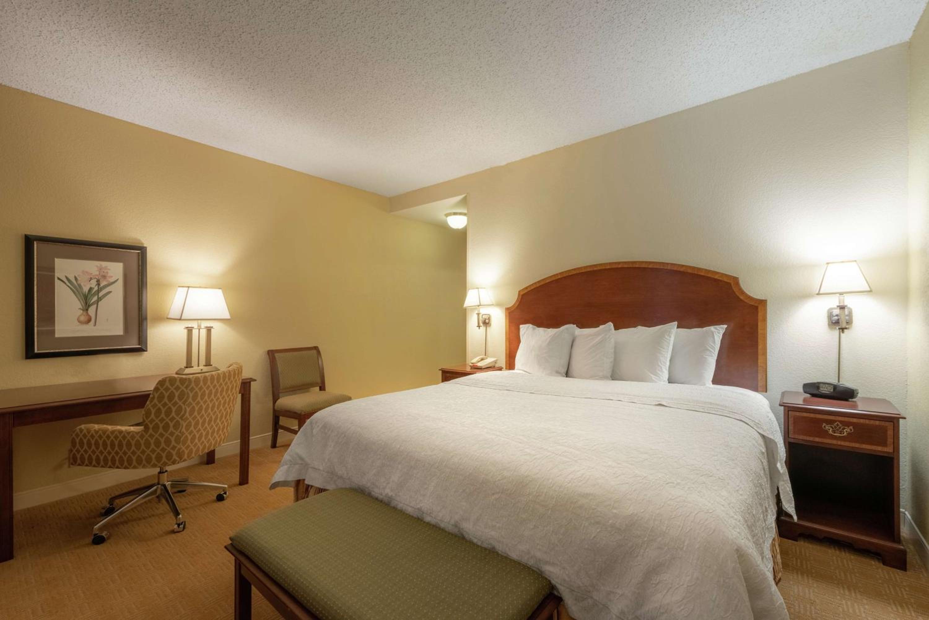 King Room with King Bed - Non-Smoking photo 1