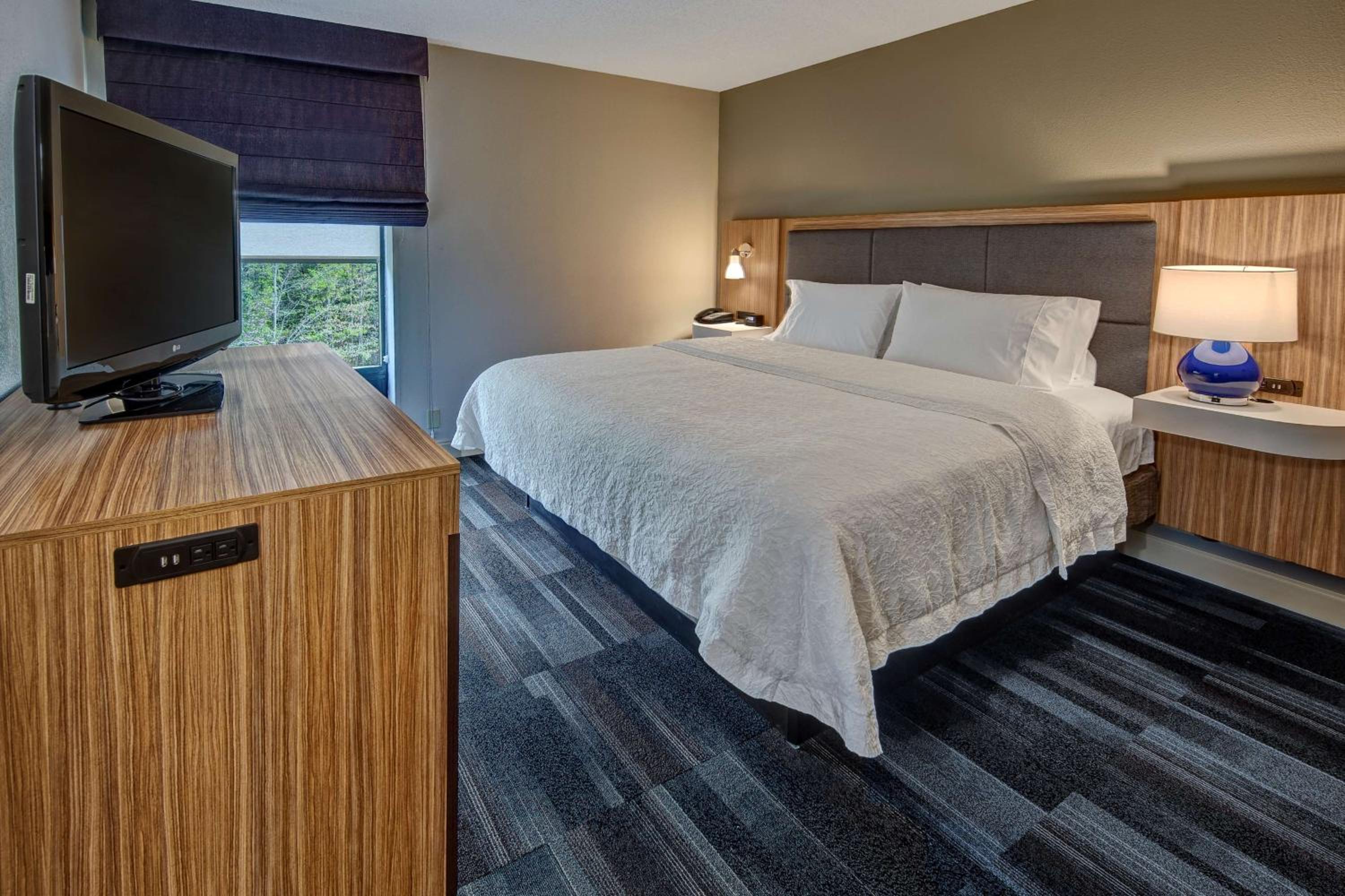 One-Bedroom King Suite - Non-Smoking - Photo 4