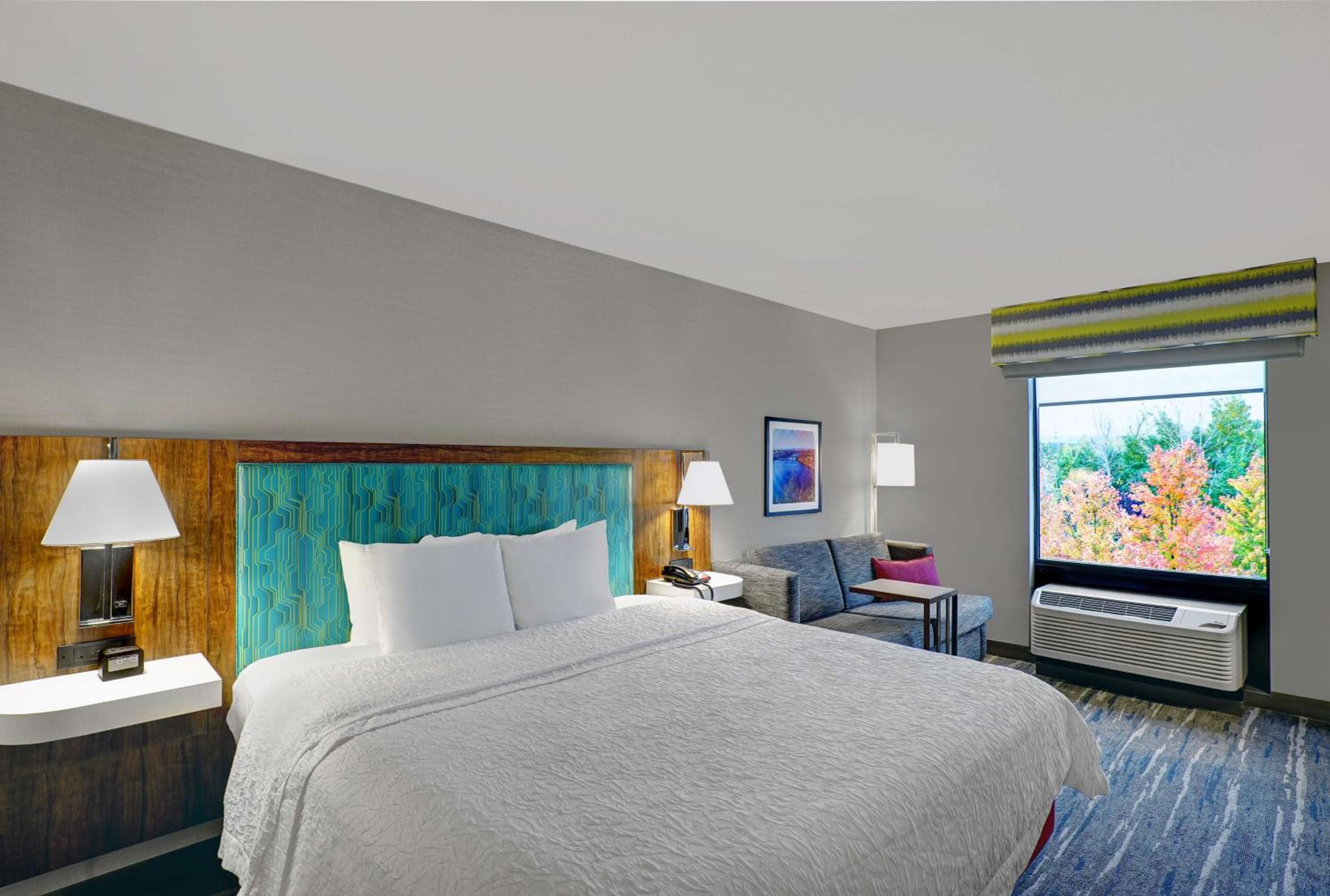 King Room with Roll-In Shower - Mobility and Hearing Access/Non-Smoking photo 3
