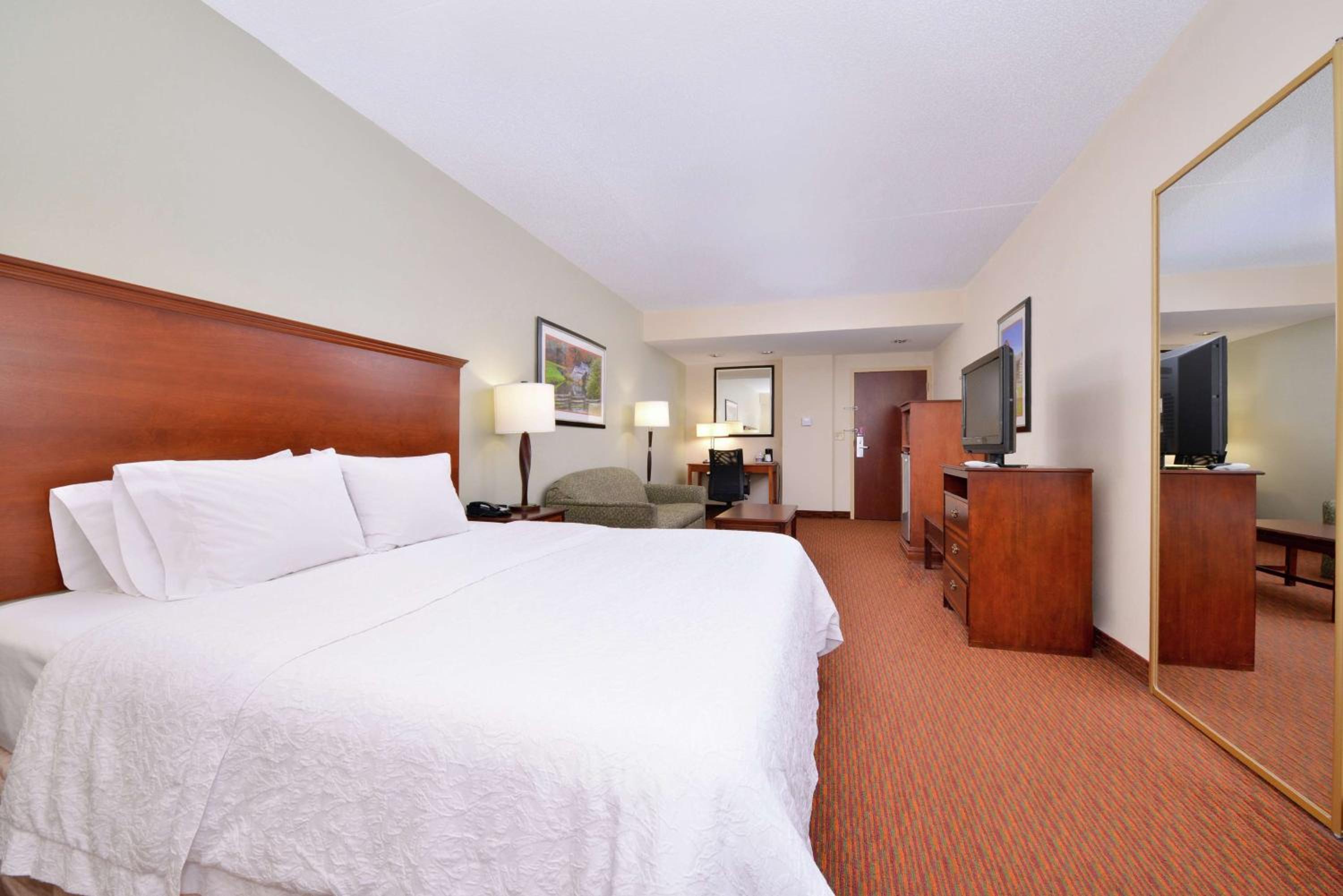 King Suite - Non-Smoking - Photo 1