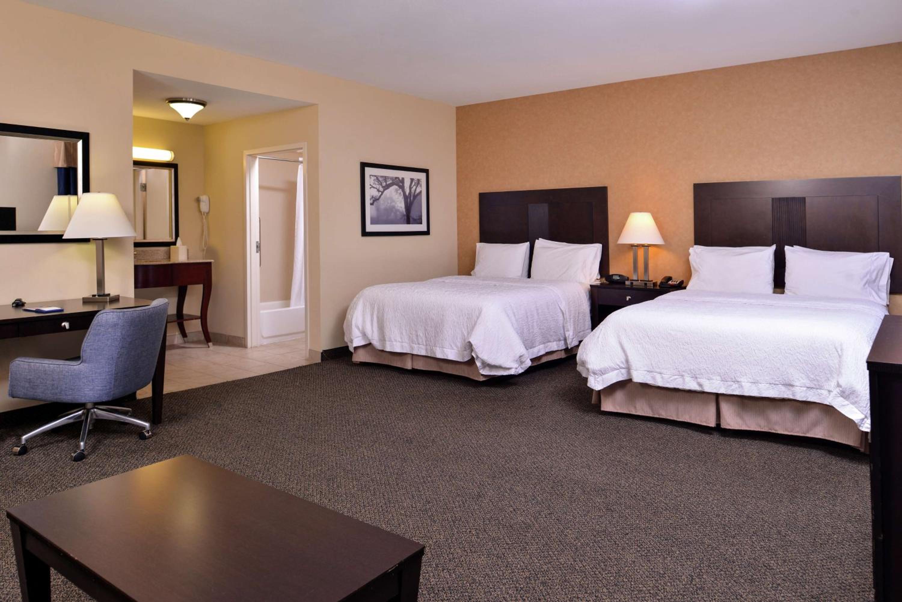 Queen Studio with 2 Queen Beds and Sofa Bed - Photo 1