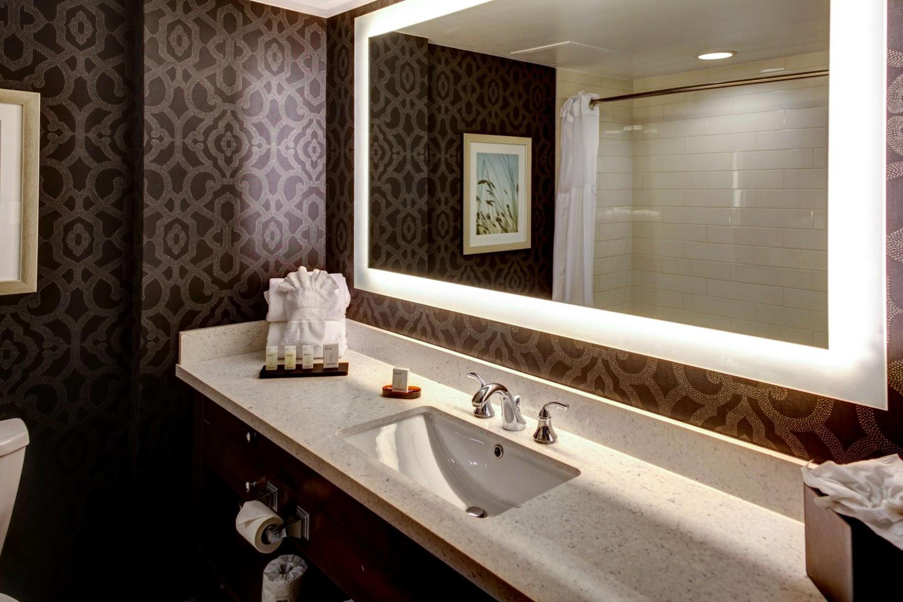King Suite Shower Only - Non-Smoking - Photo 4