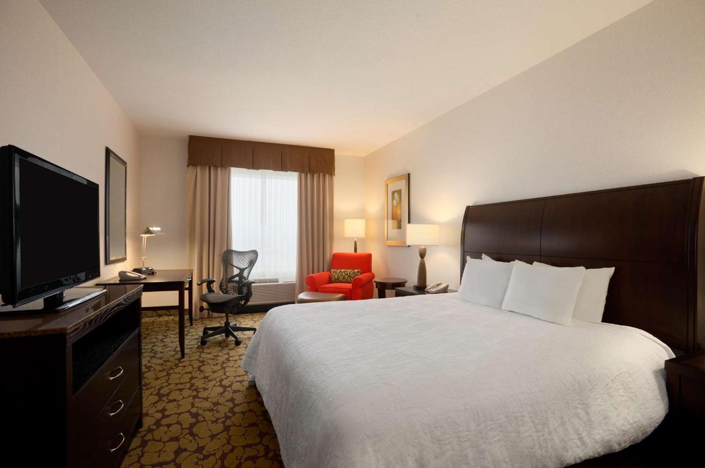 King Room - Photo 1