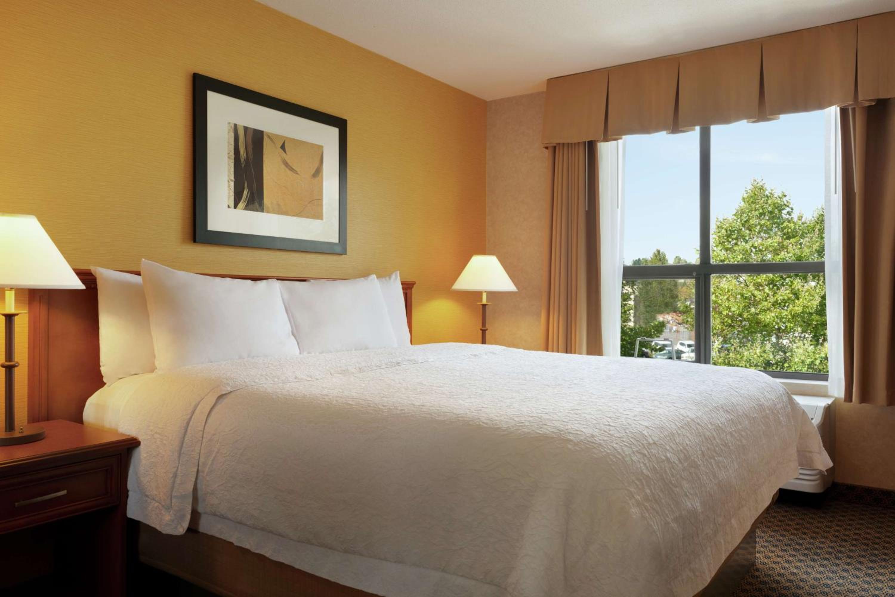 One-Bedroom King Suite with Kitchen - Non-Smoking  - Photo 1