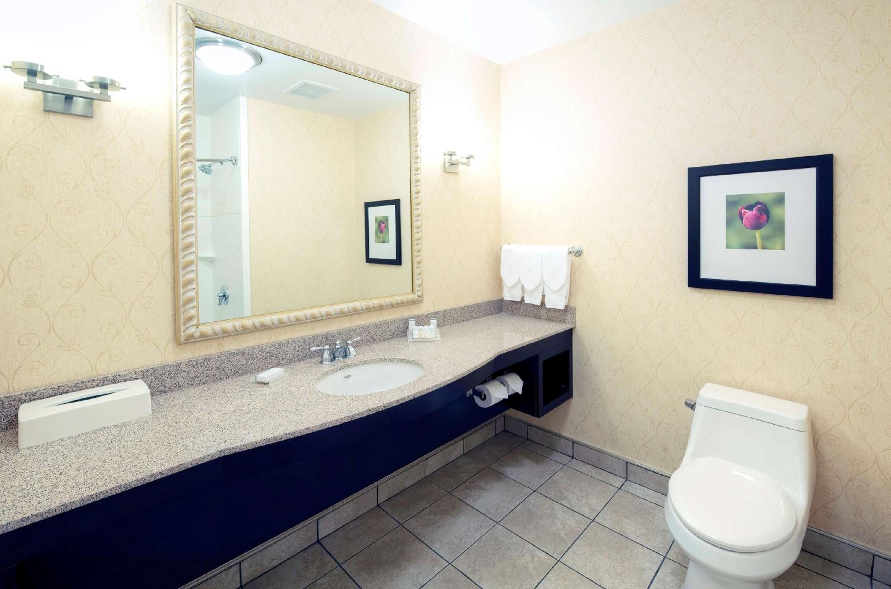 Standard King Room with Bathtub - Photo 5