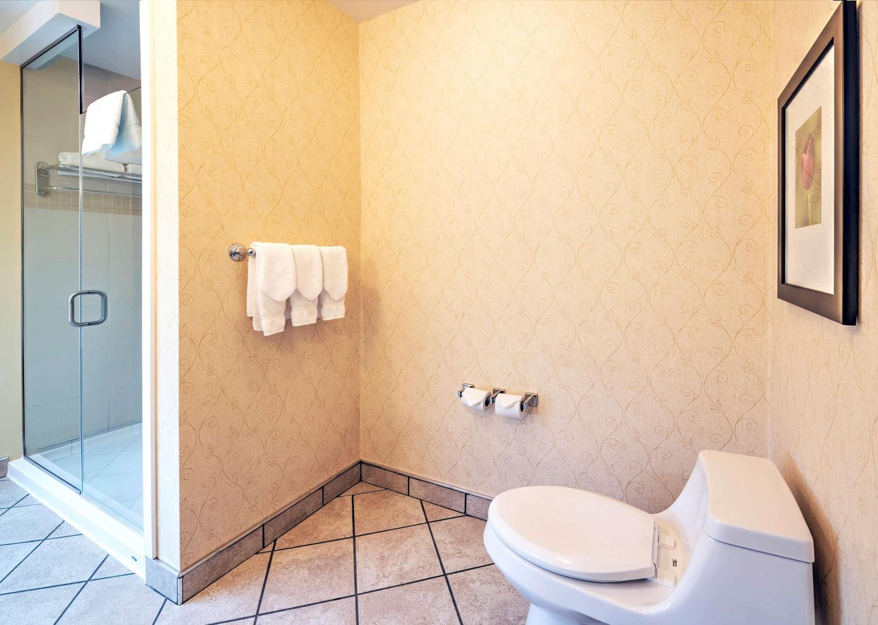 Standard King Room with Walk-In Shower - Photo 1