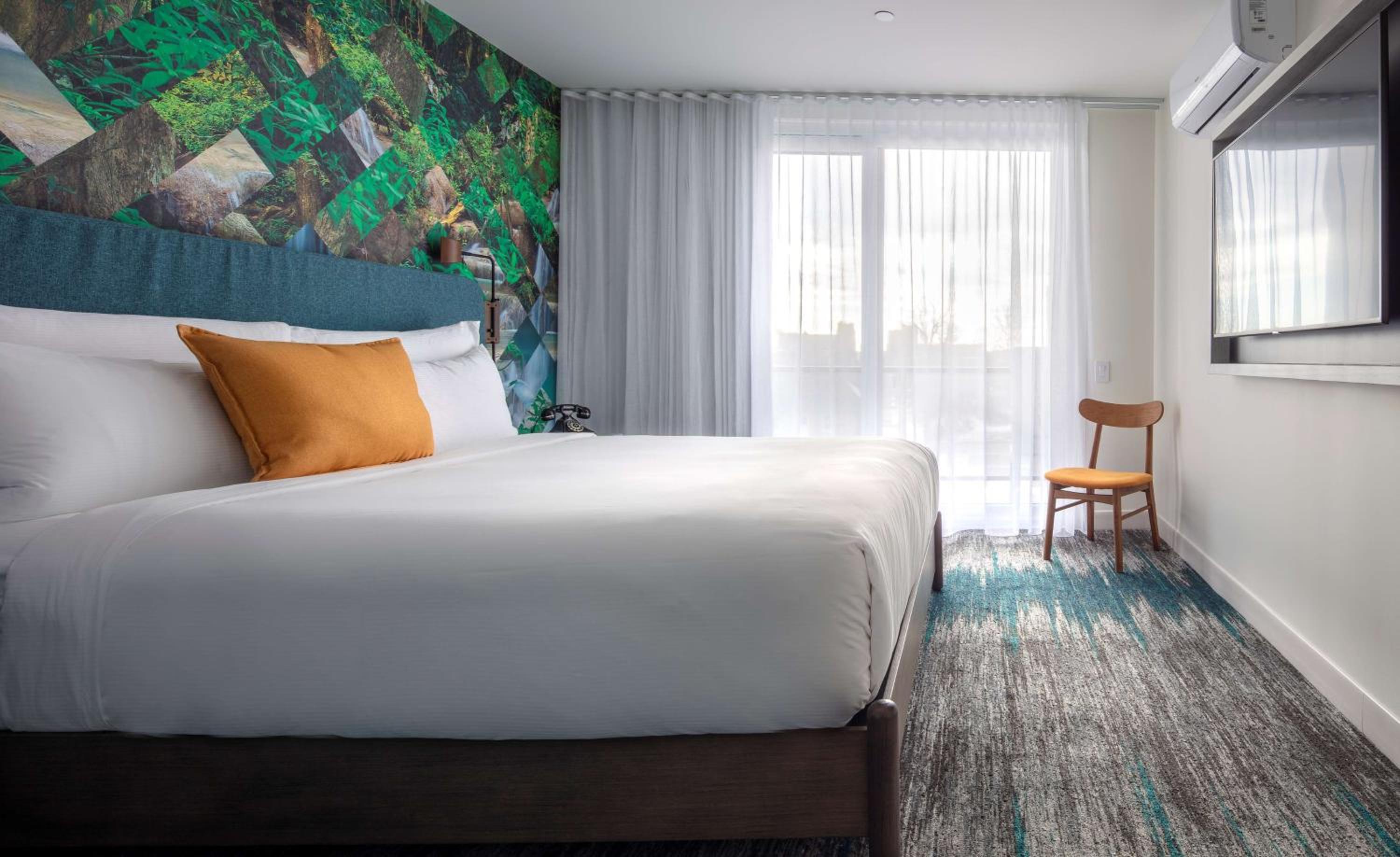 Two Room King Suite with Balcony - Photo 1