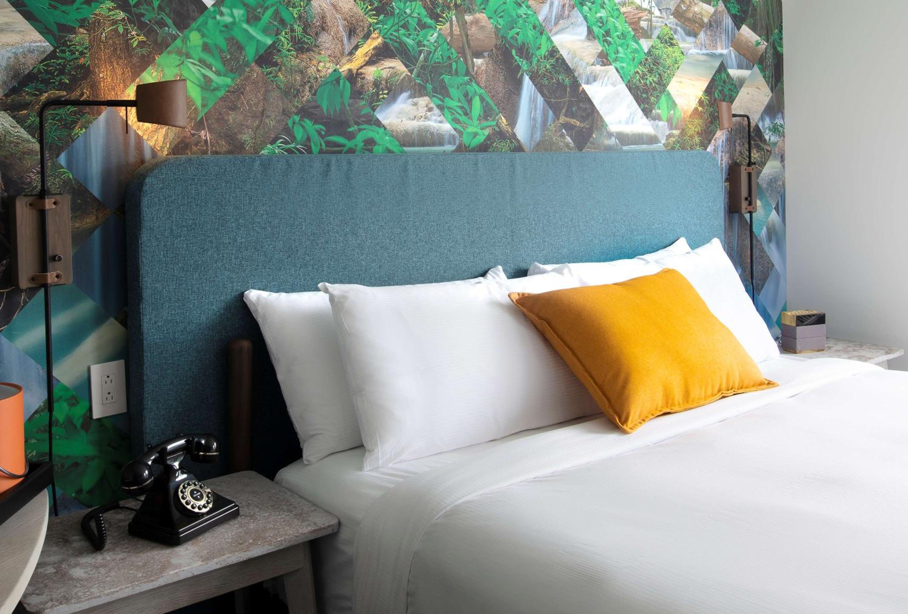 King Room - Photo 1