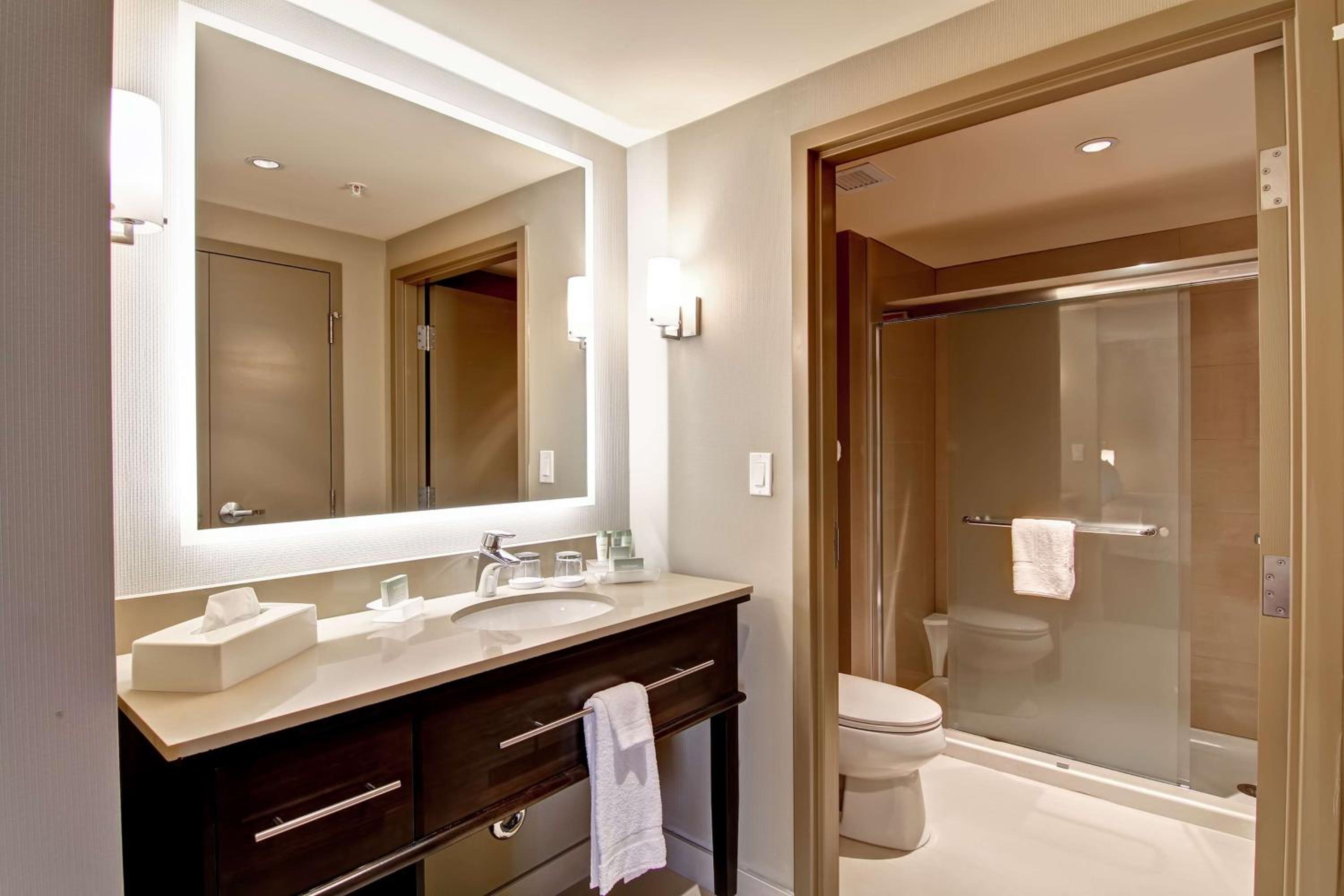 One-Bedroom King Suite With Spa Bath photo 3