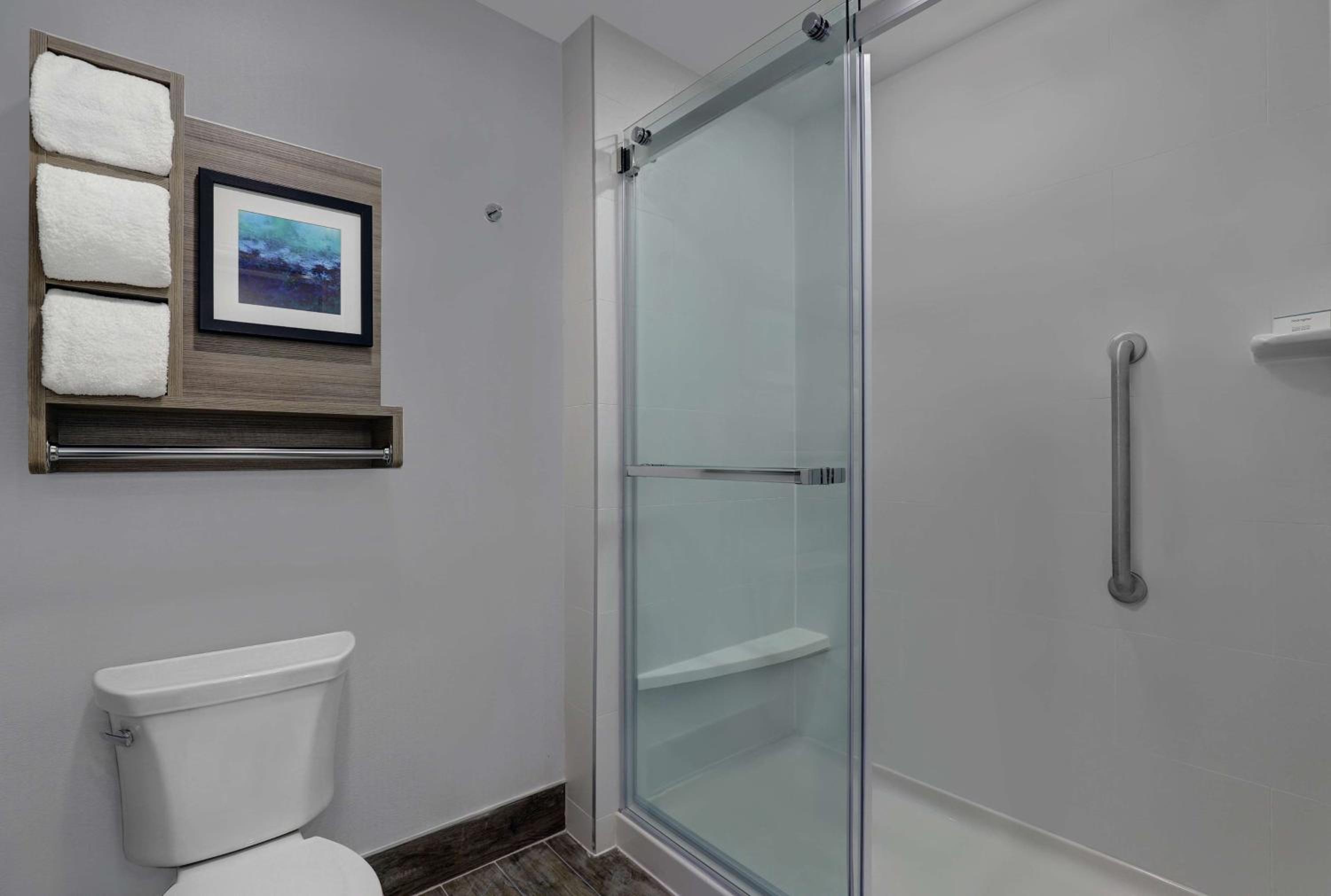 bathroom with a walk - in shower and a toilet