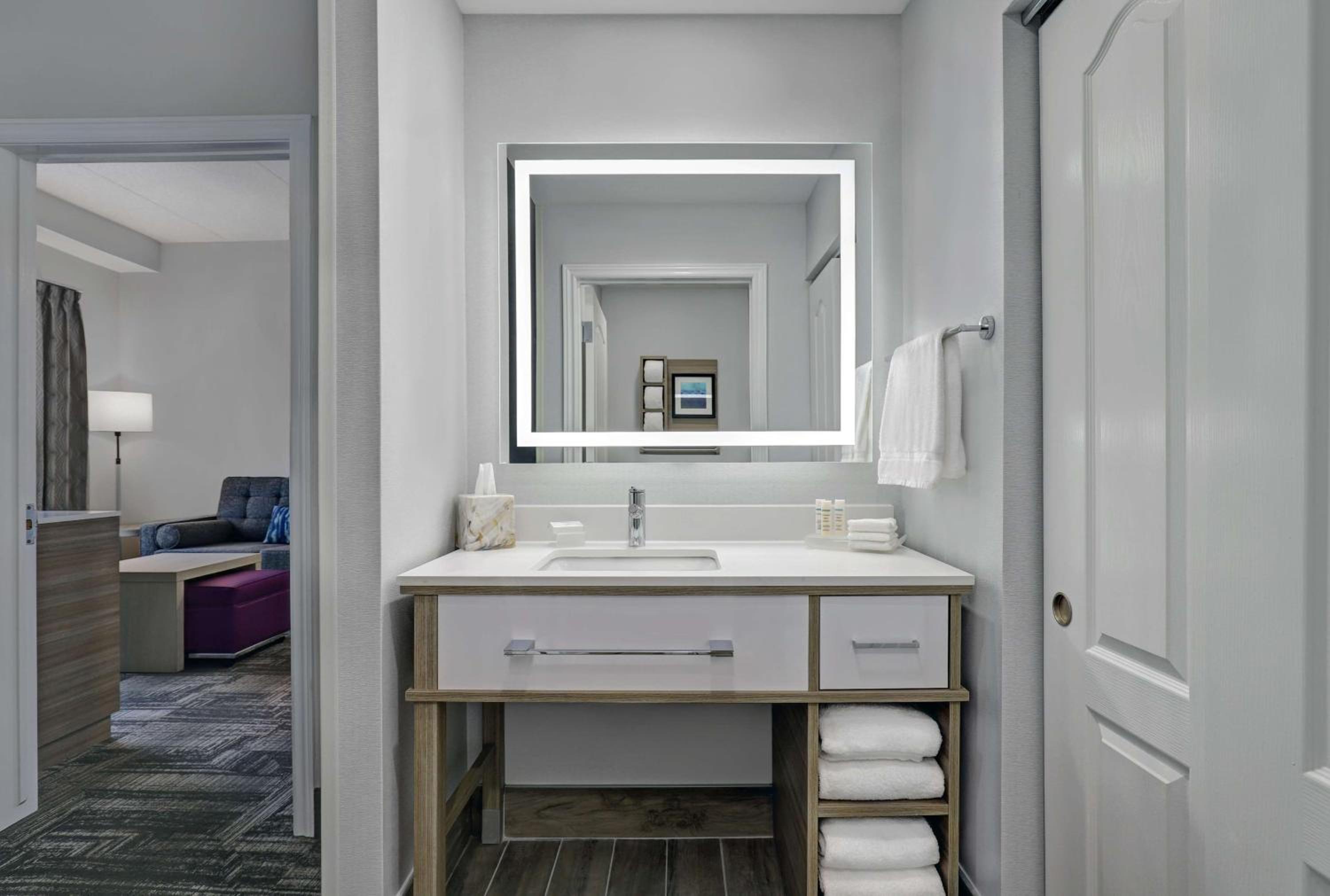 bathroom with a sink, mirror, and towel rack