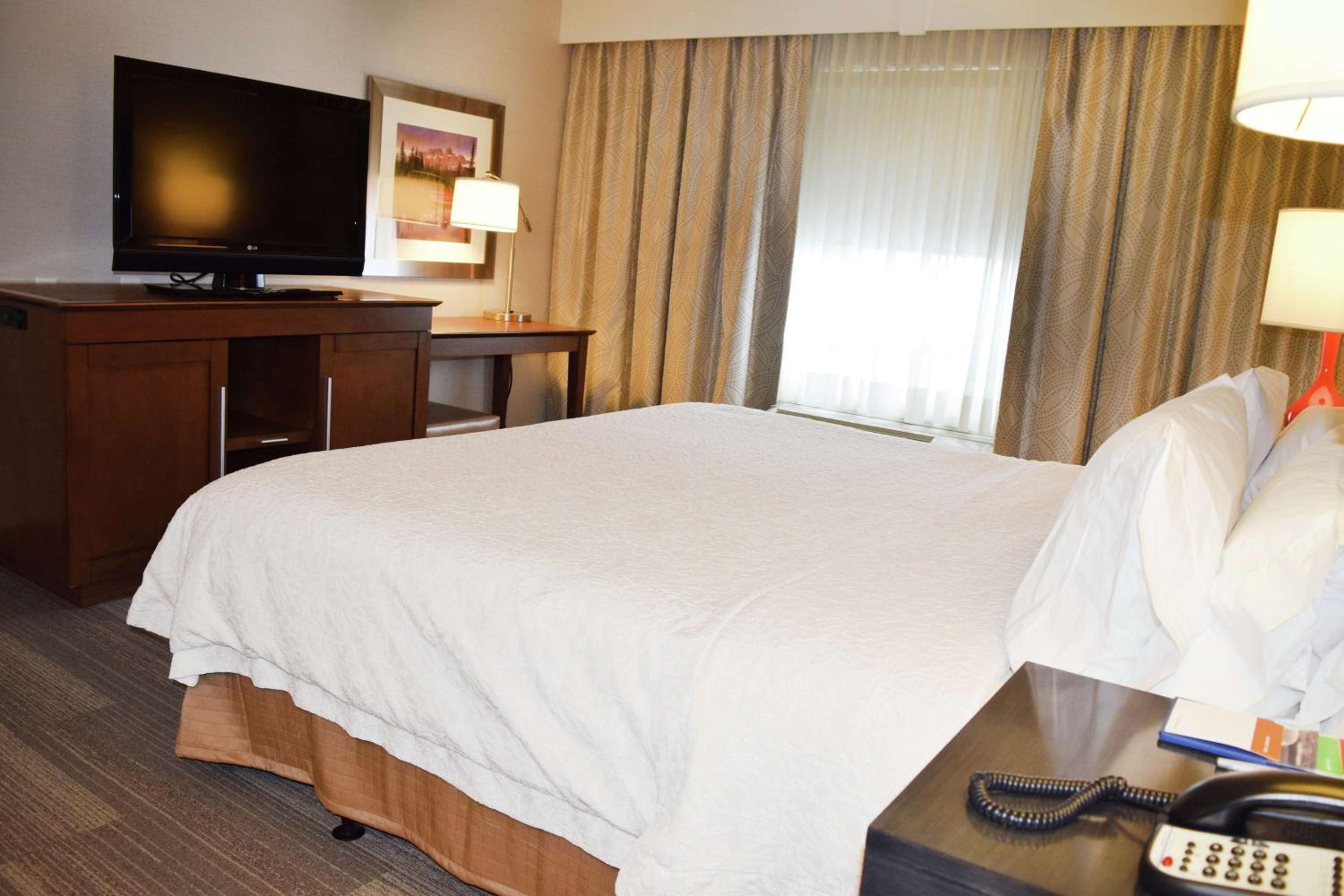 One-Bedroom King Suite with Kitchen - Non-Smoking  - Photo 4