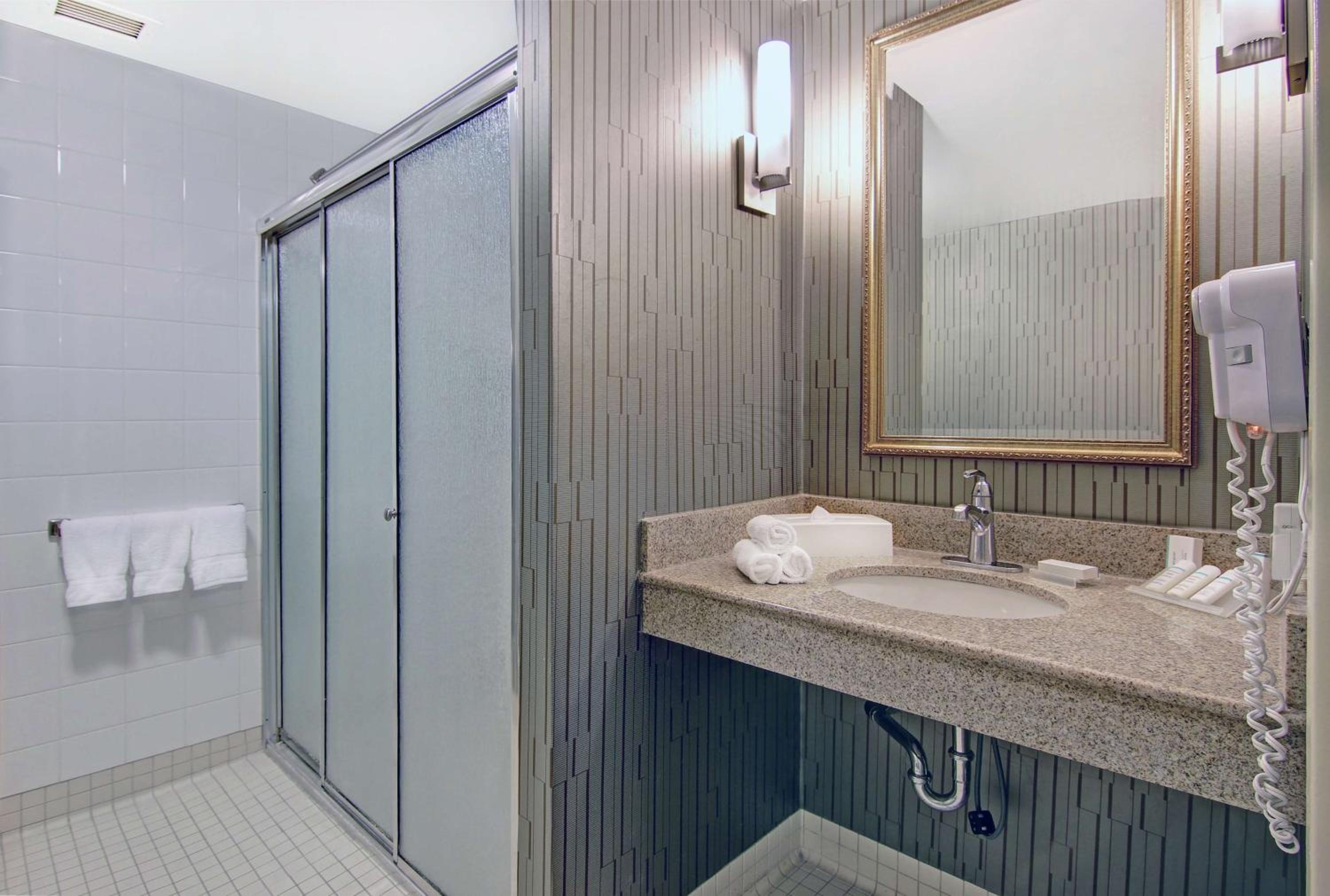 One-Bedroom King Suite