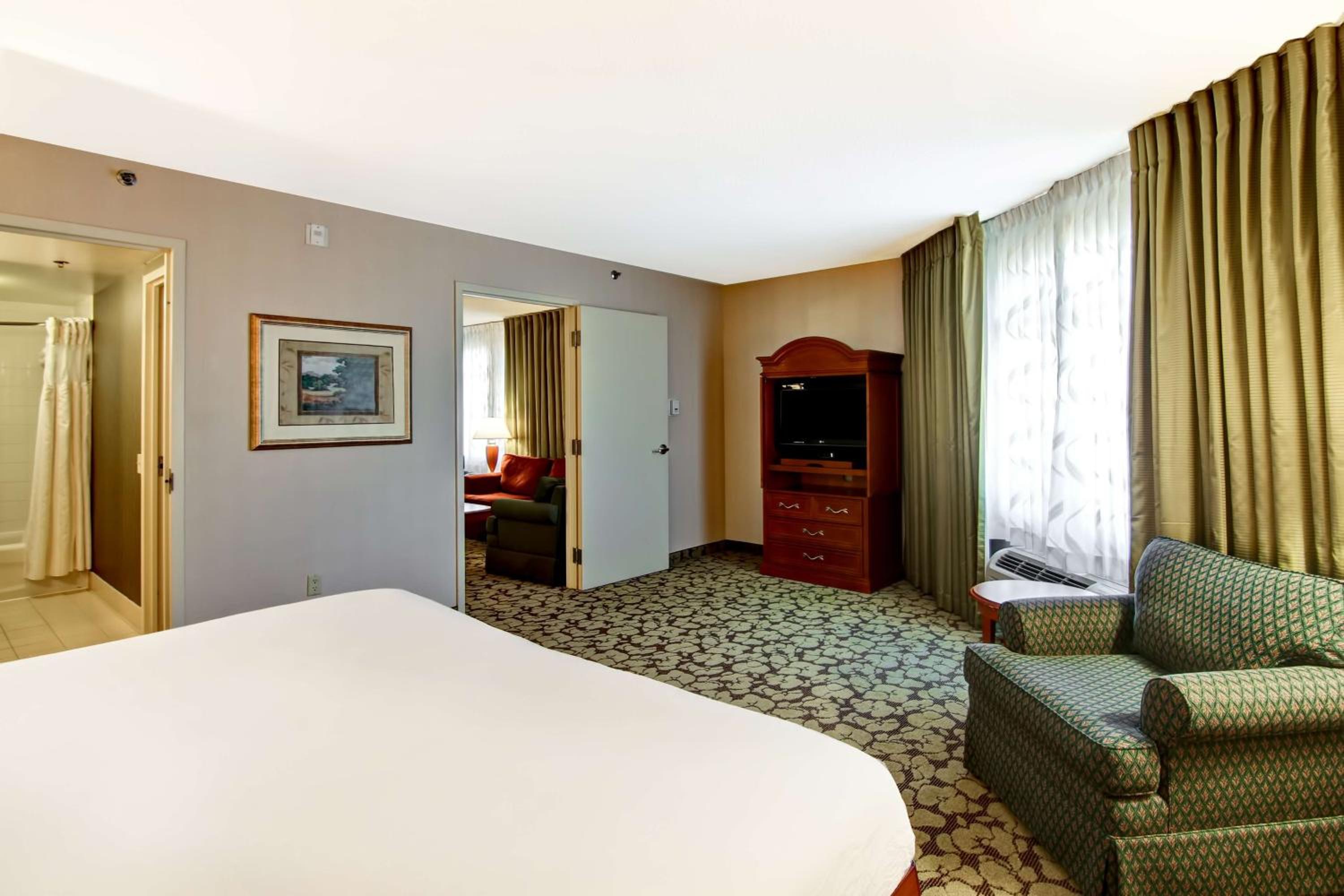One-Bedroom King Suite