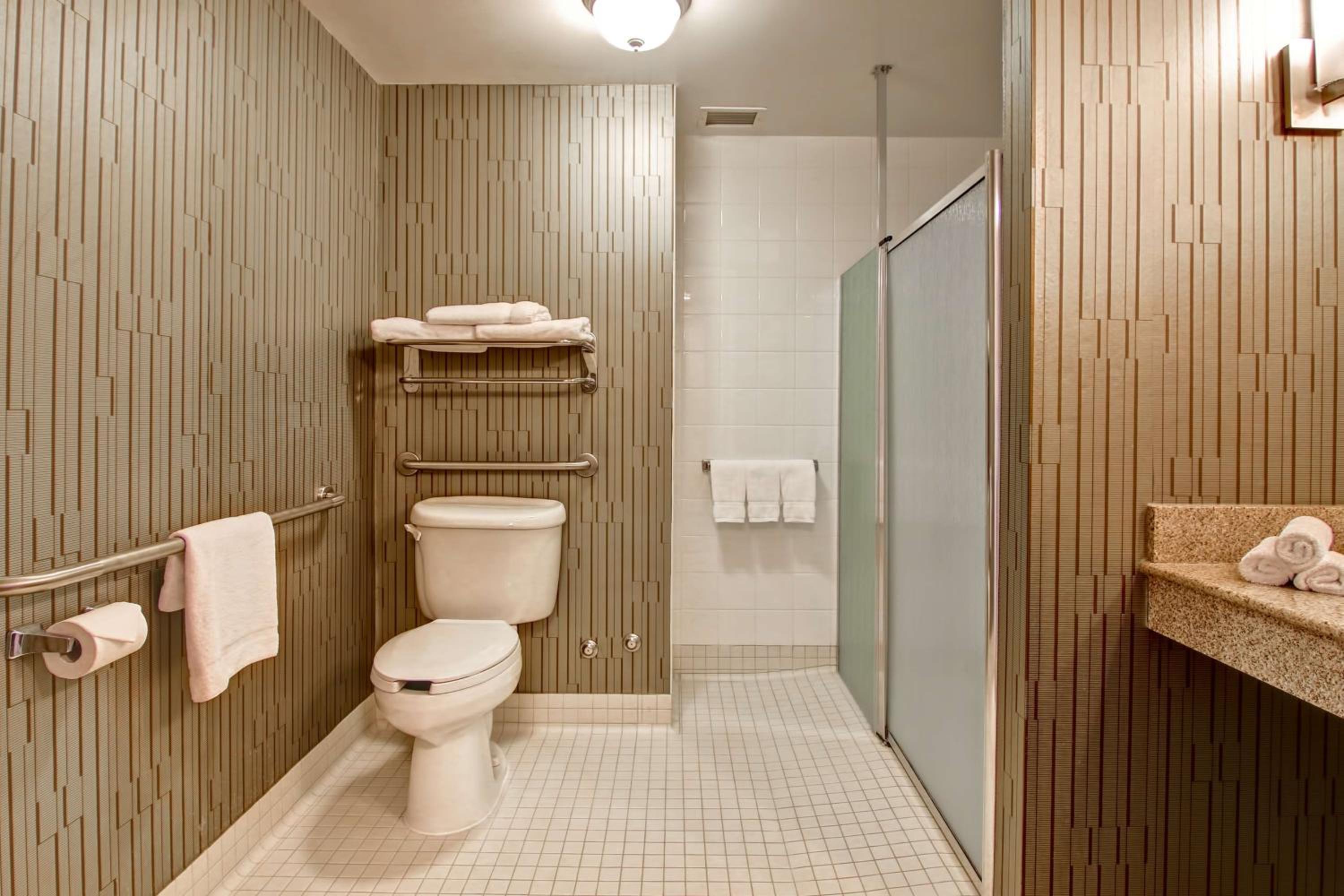 Queen Room with Roll-In Shower - Mobility Access/Non-Smoking
