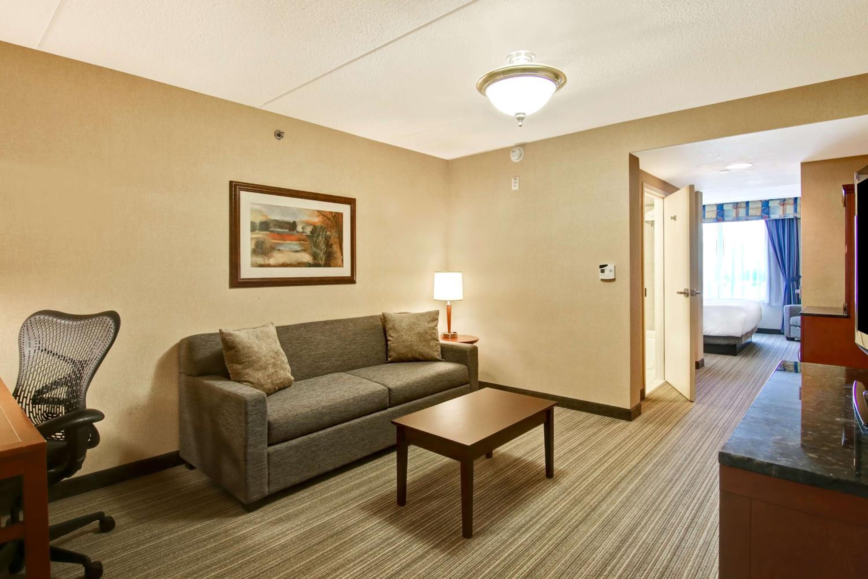 One-Bedroom King Suite with Sofa Bed - Photo 1