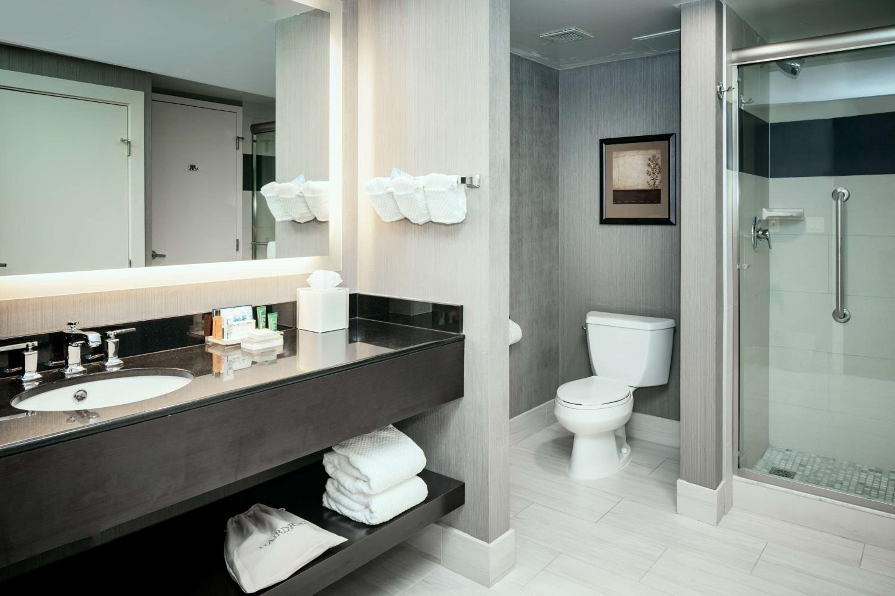King Suite - Photo 8