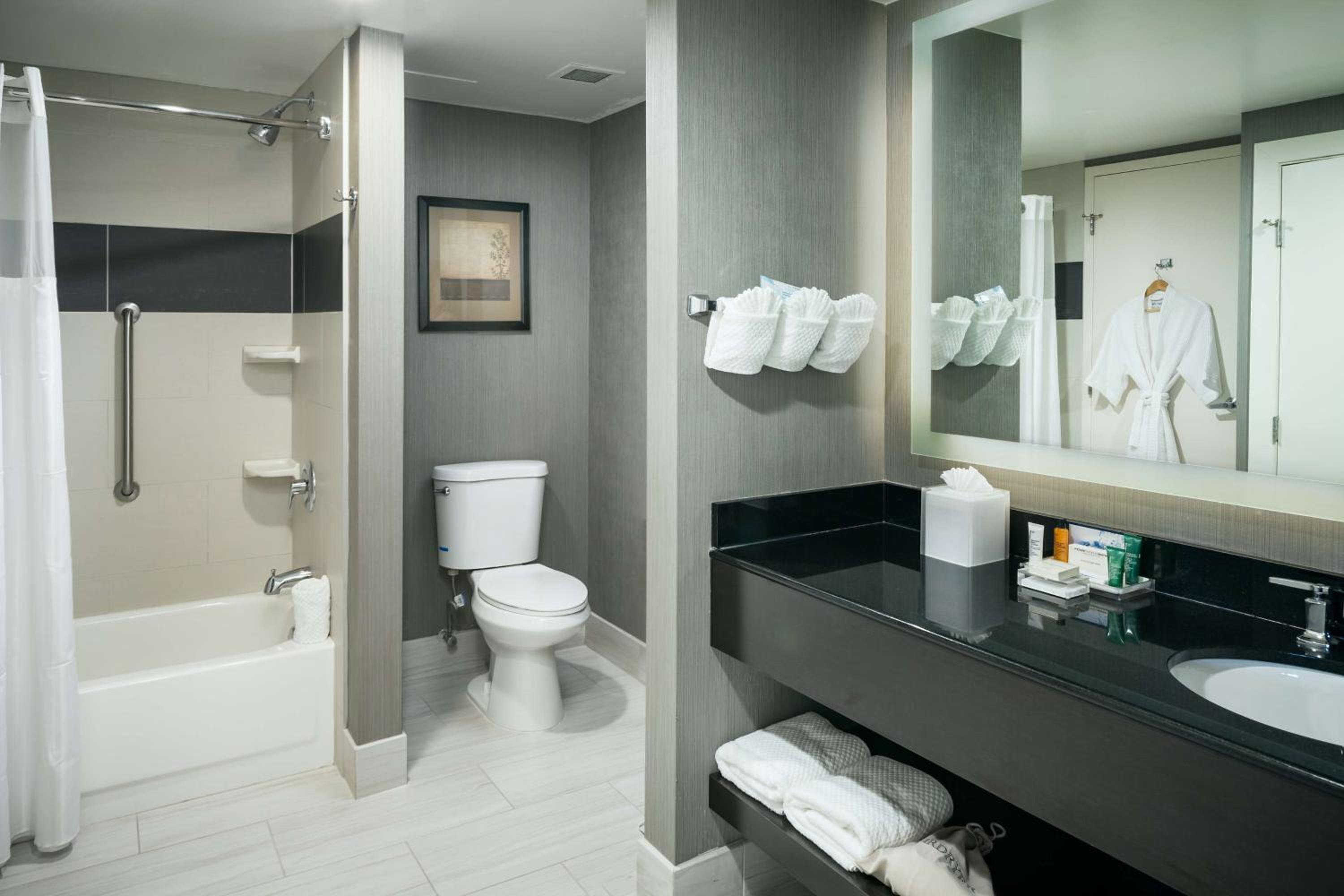 King Suite - Photo 3