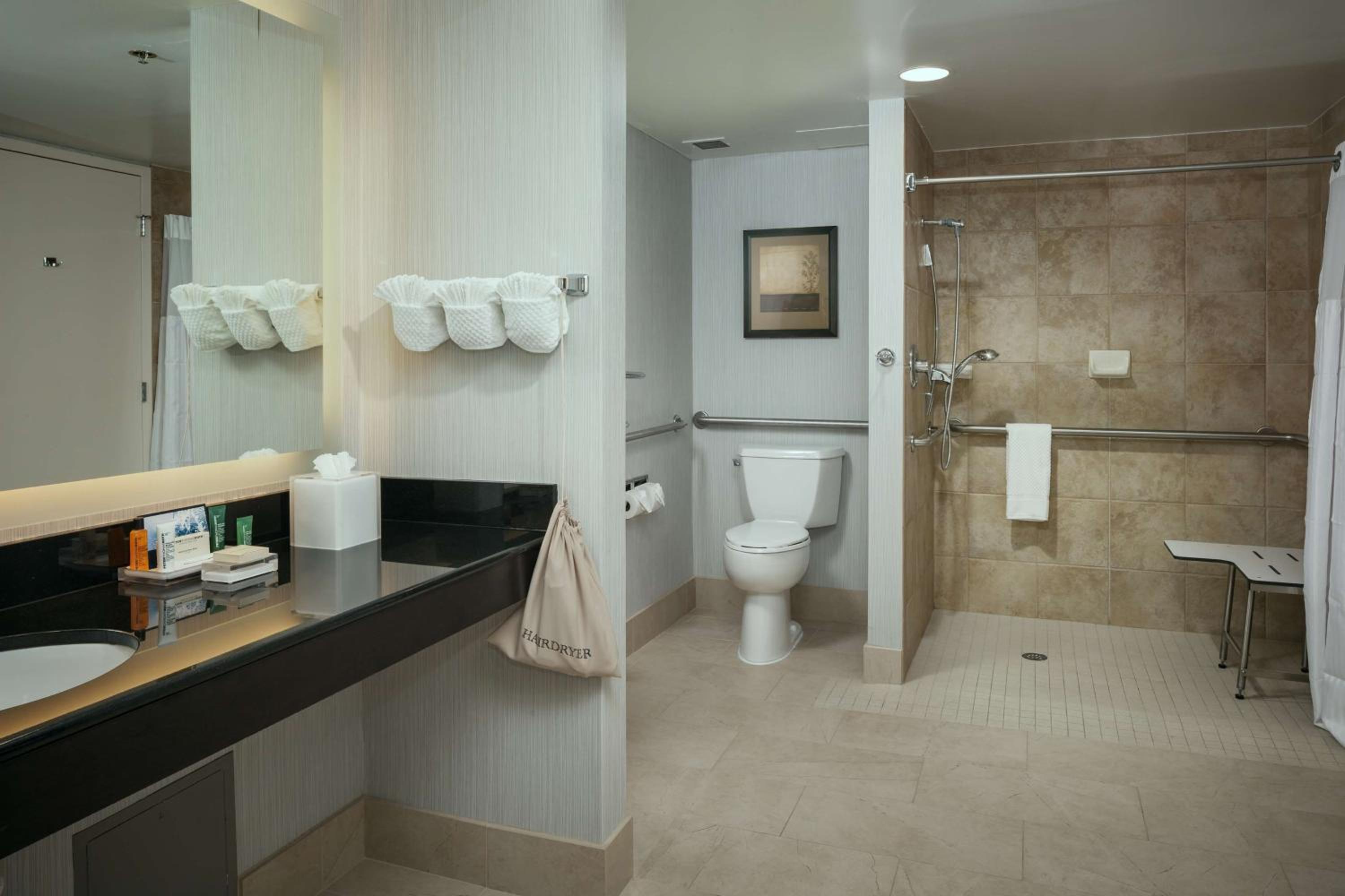 One Double Mobility/Hearing Accessible with Roll in Shower - Photo 3