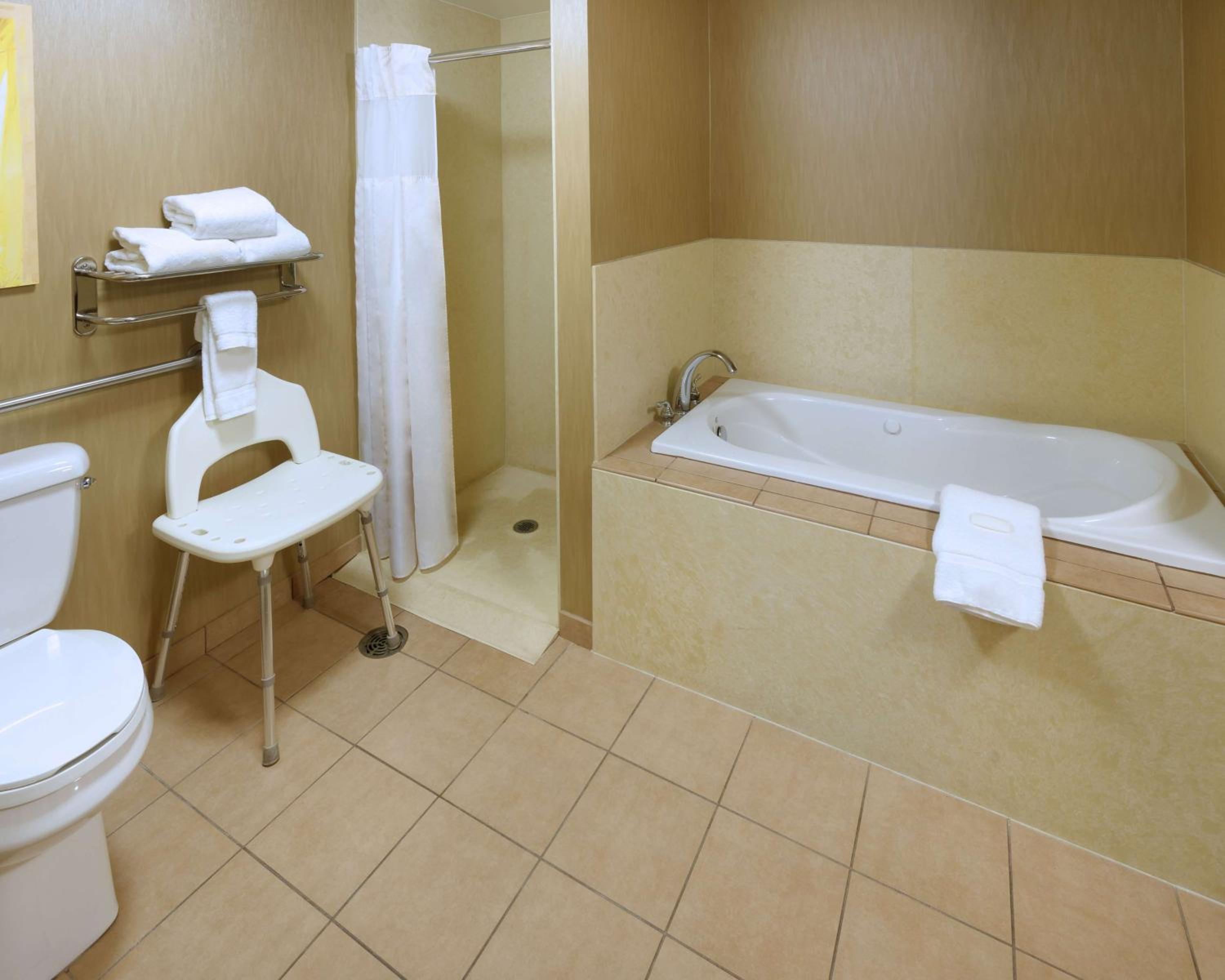 King Suite - Mobility and Hearing Access - Photo 7