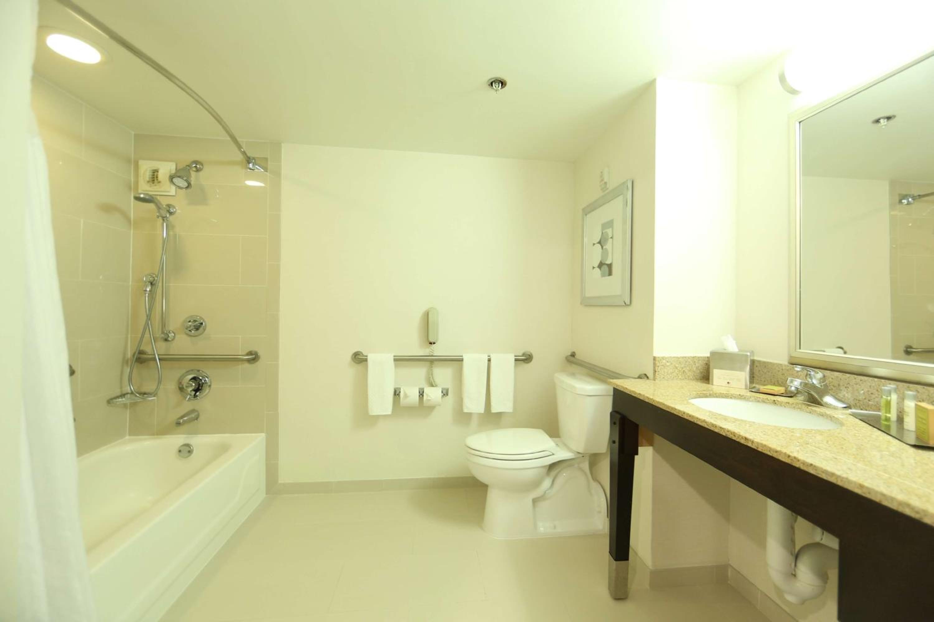 King Room Accessible Tub - Mobility Access/Non-Smoking - Photo 2