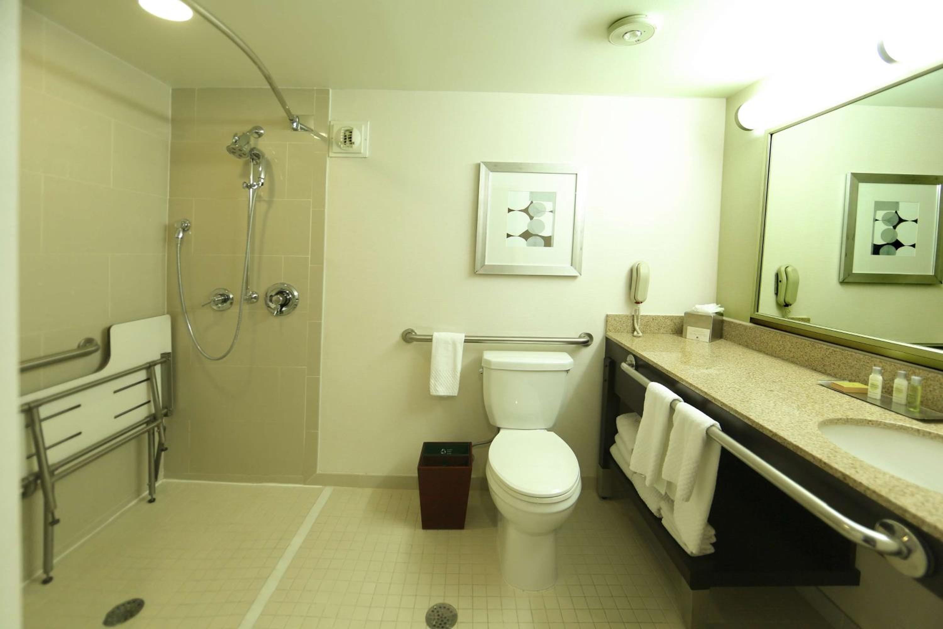 King Room with Roll-In Shower - Mobility Access/Non-Smoking - Photo 2