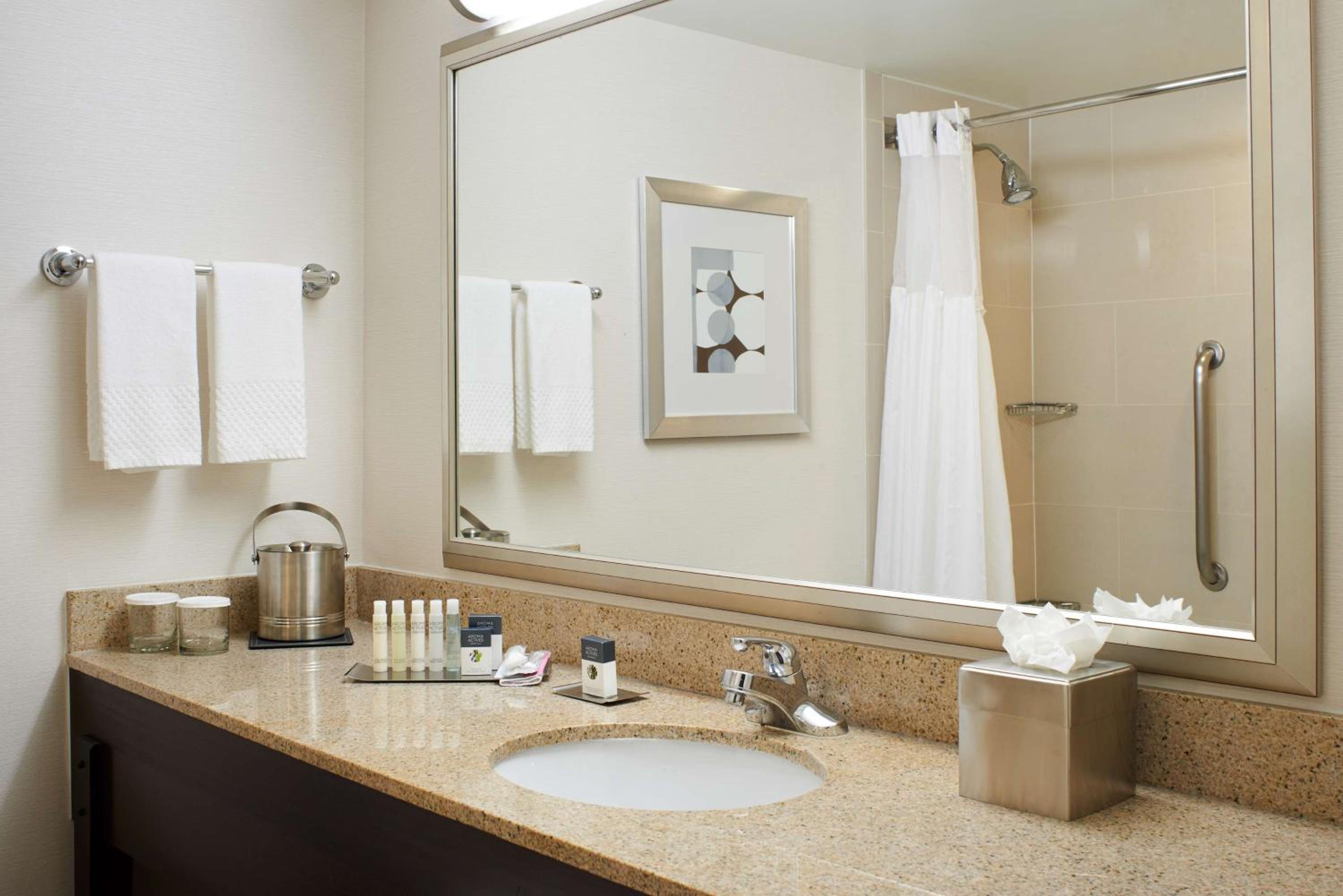 King Room Accessible Tub - Mobility Access/Non-Smoking - Photo 4