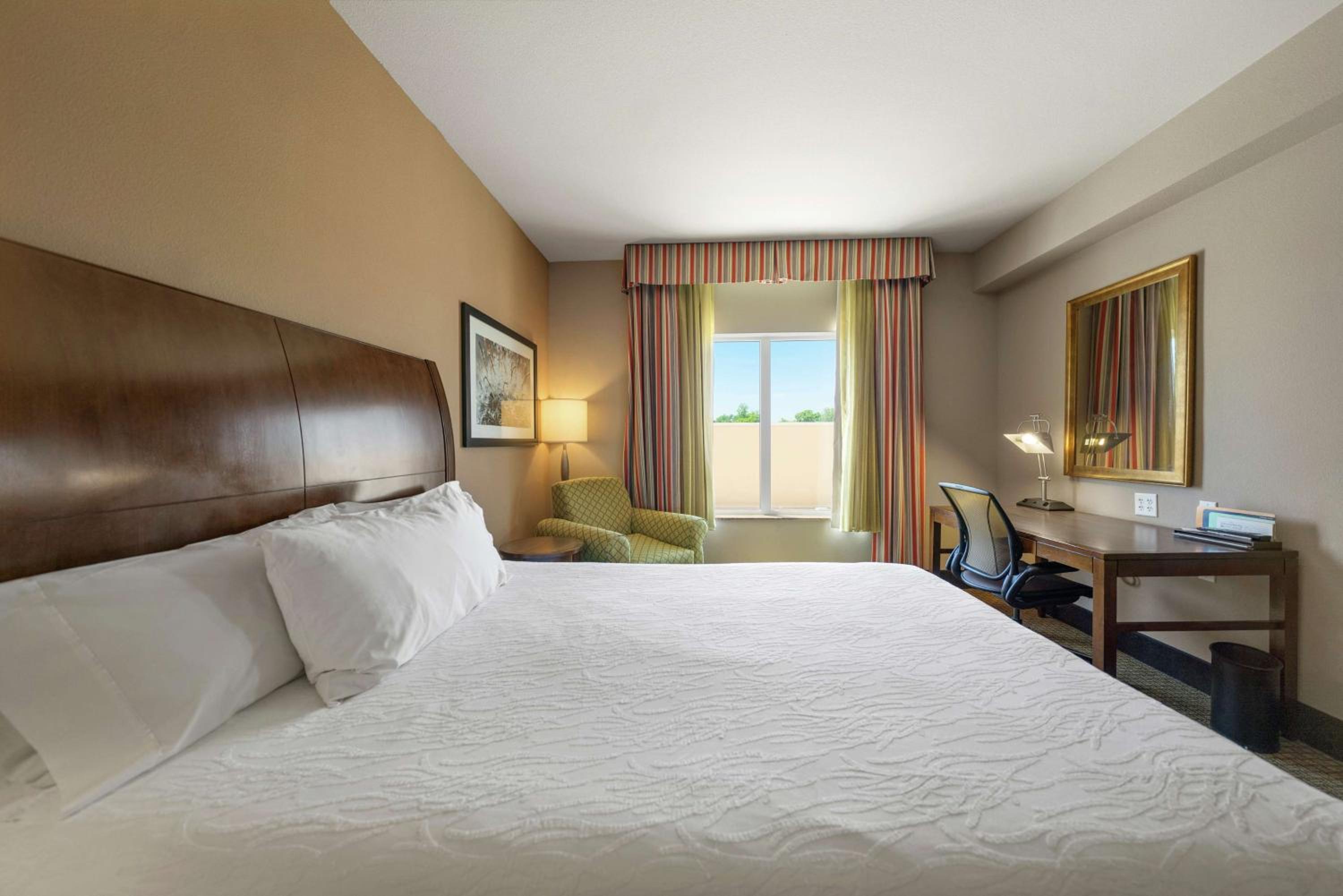 King Room photo 1