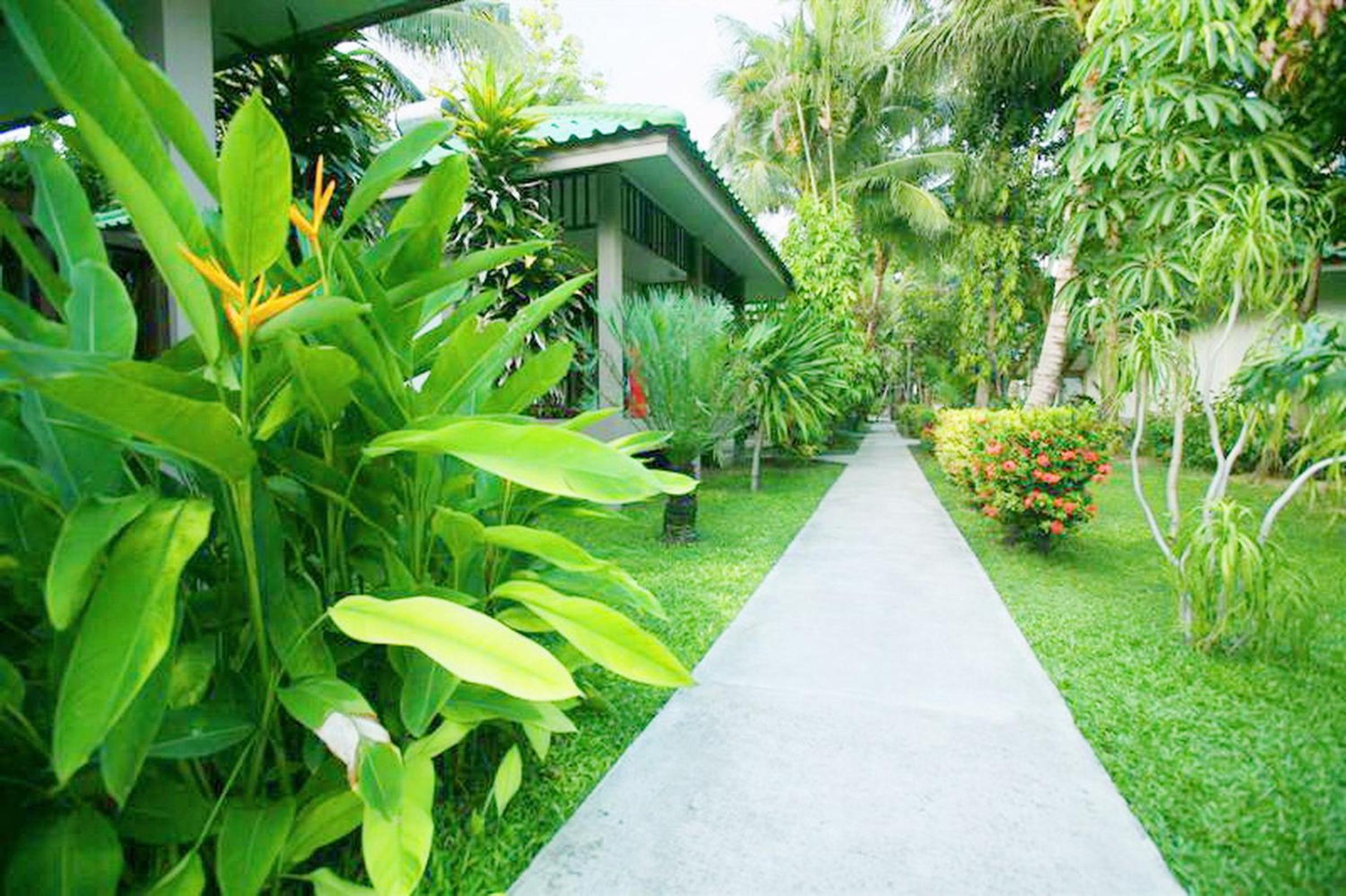 Garden Bungalow - Photo 18