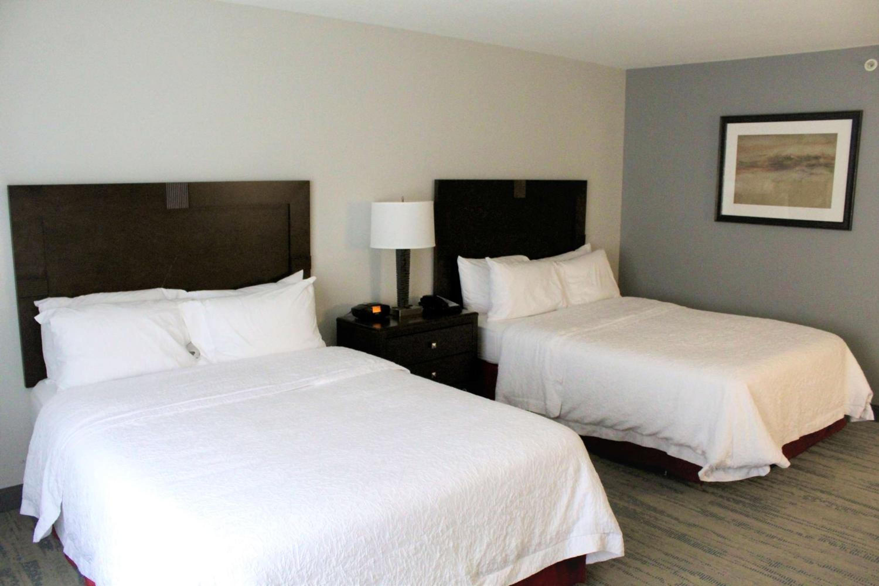 Queen Room with Two Queen Beds - Mobility Access/Non-Smoking photo 1