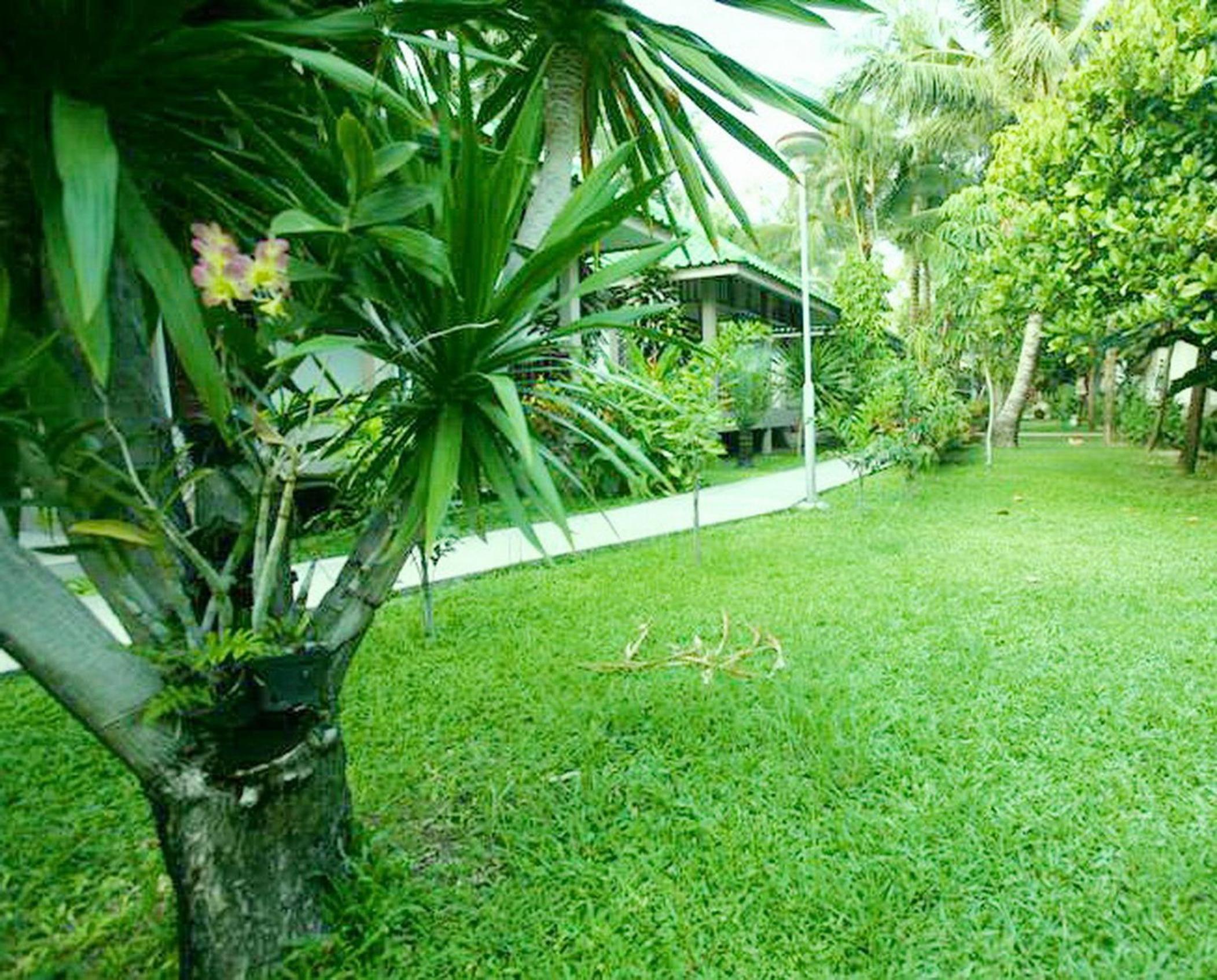 Garden Bungalow - Photo 12