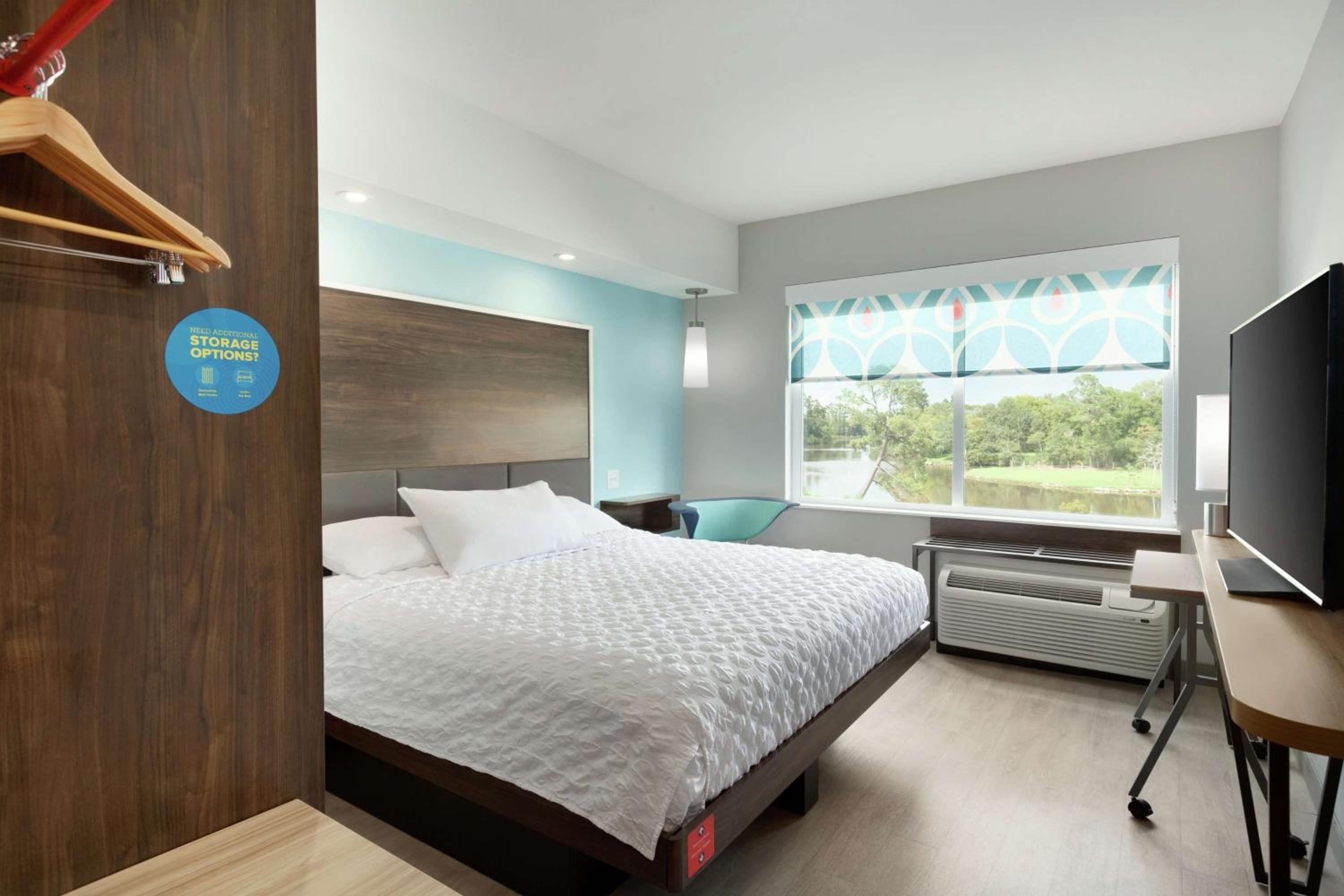 King Room photo 1