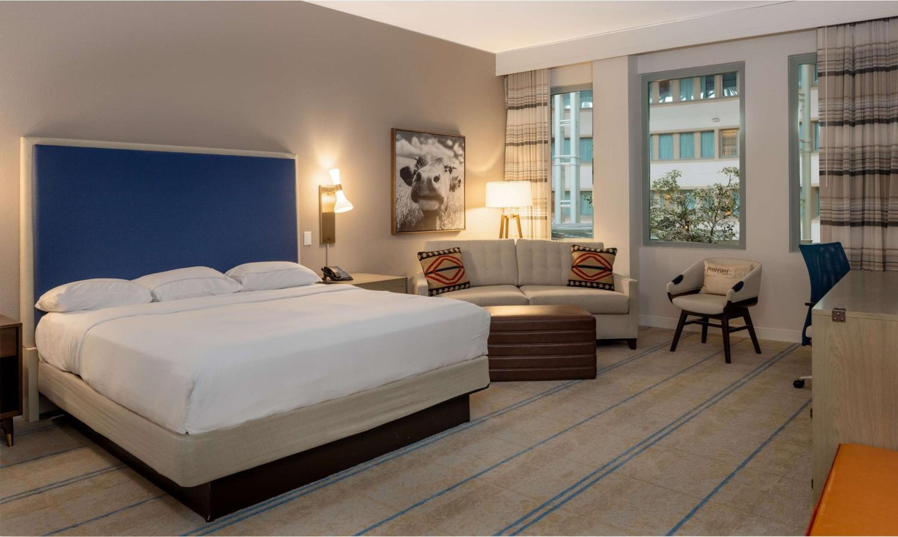 Premier King Room - Photo 6