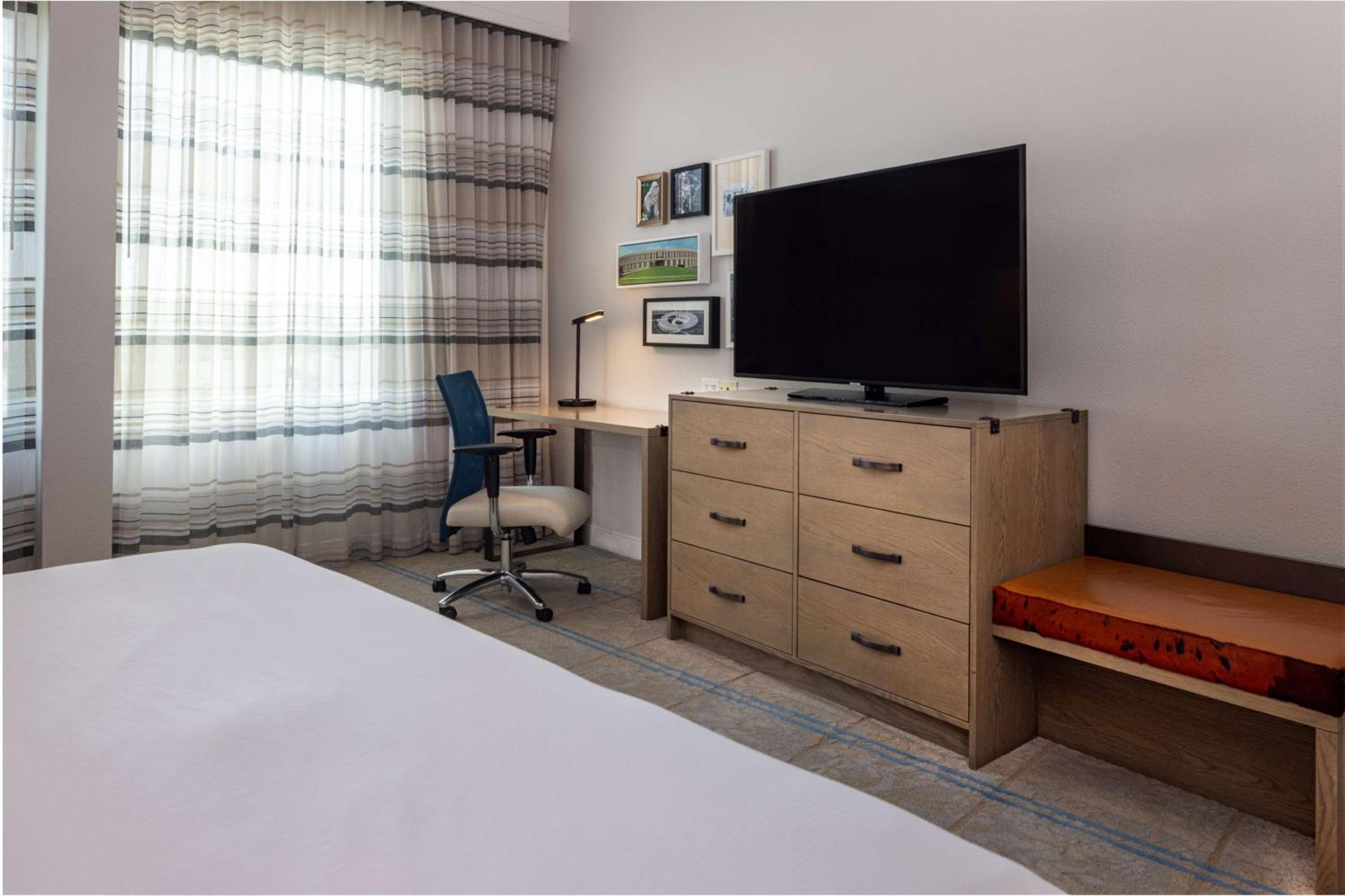 King Room - Photo 8