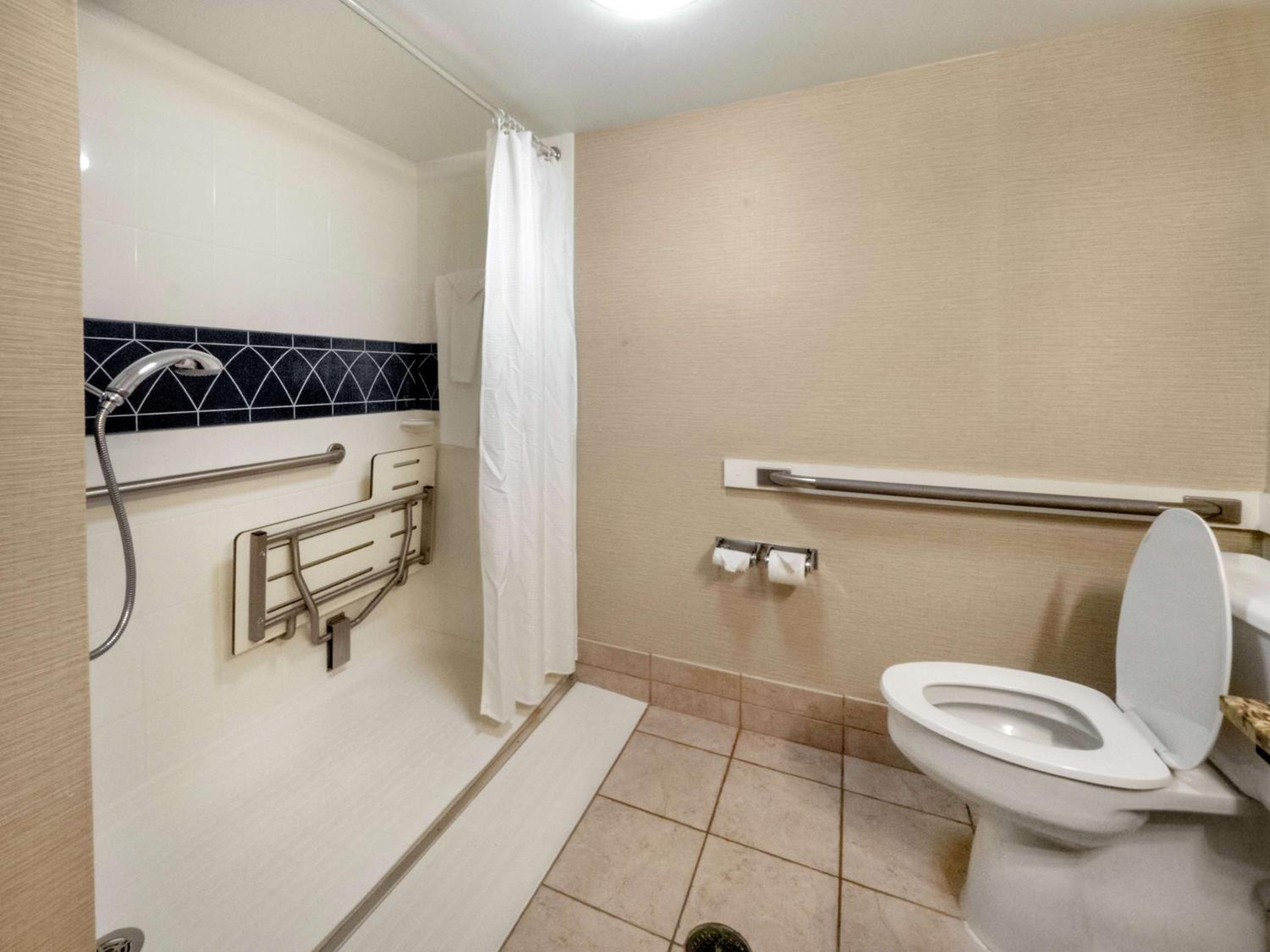 King Room with Roll-in Shower - Mobility and Hearing Accessible/Non-Smoking - Photo 2
