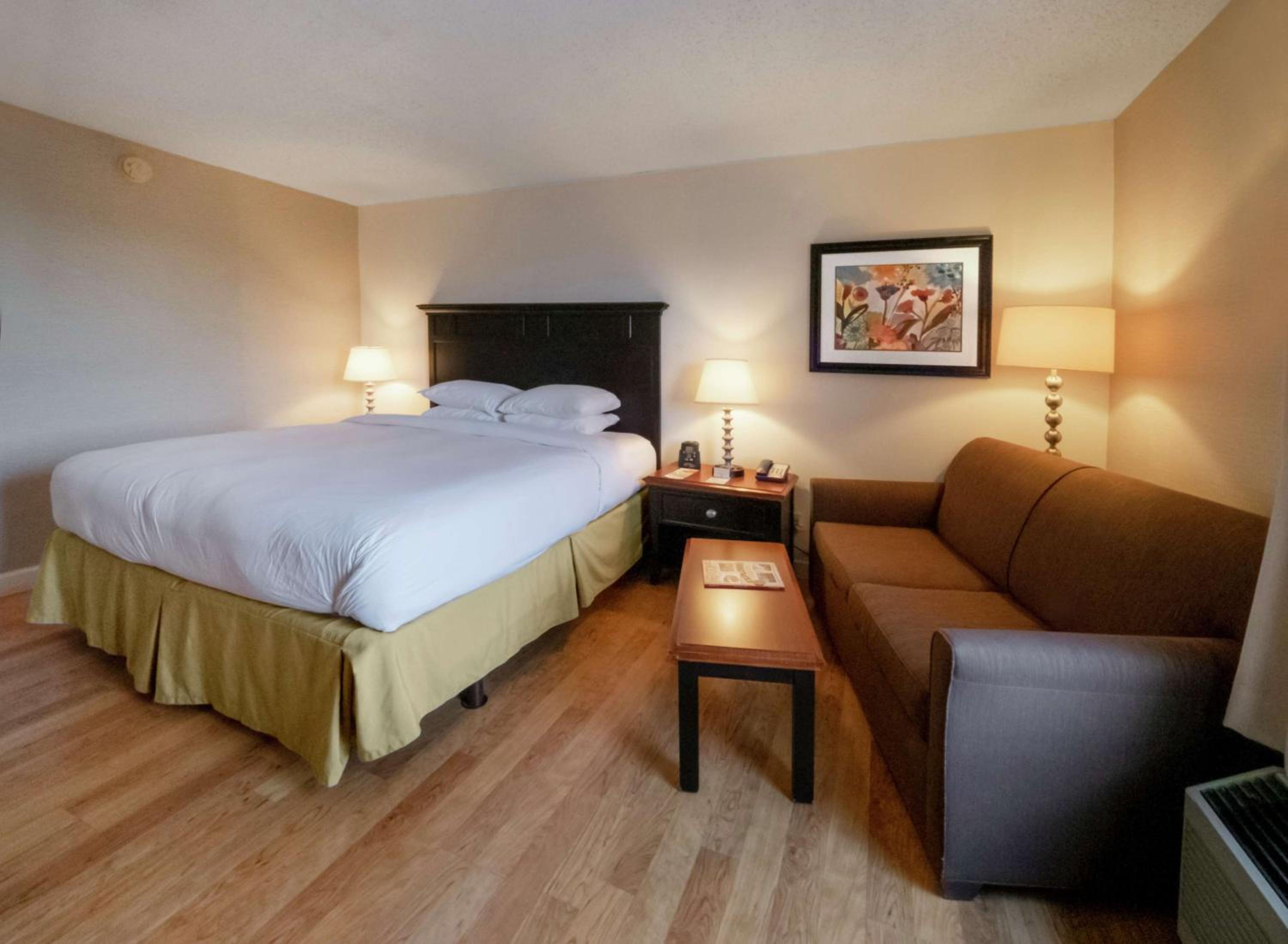 King Room - Non-Smoking - Photo 5